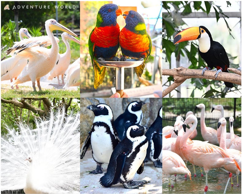 コンパクトな優れモノ「ジッパーコンパス」を4月9日(水)に発売