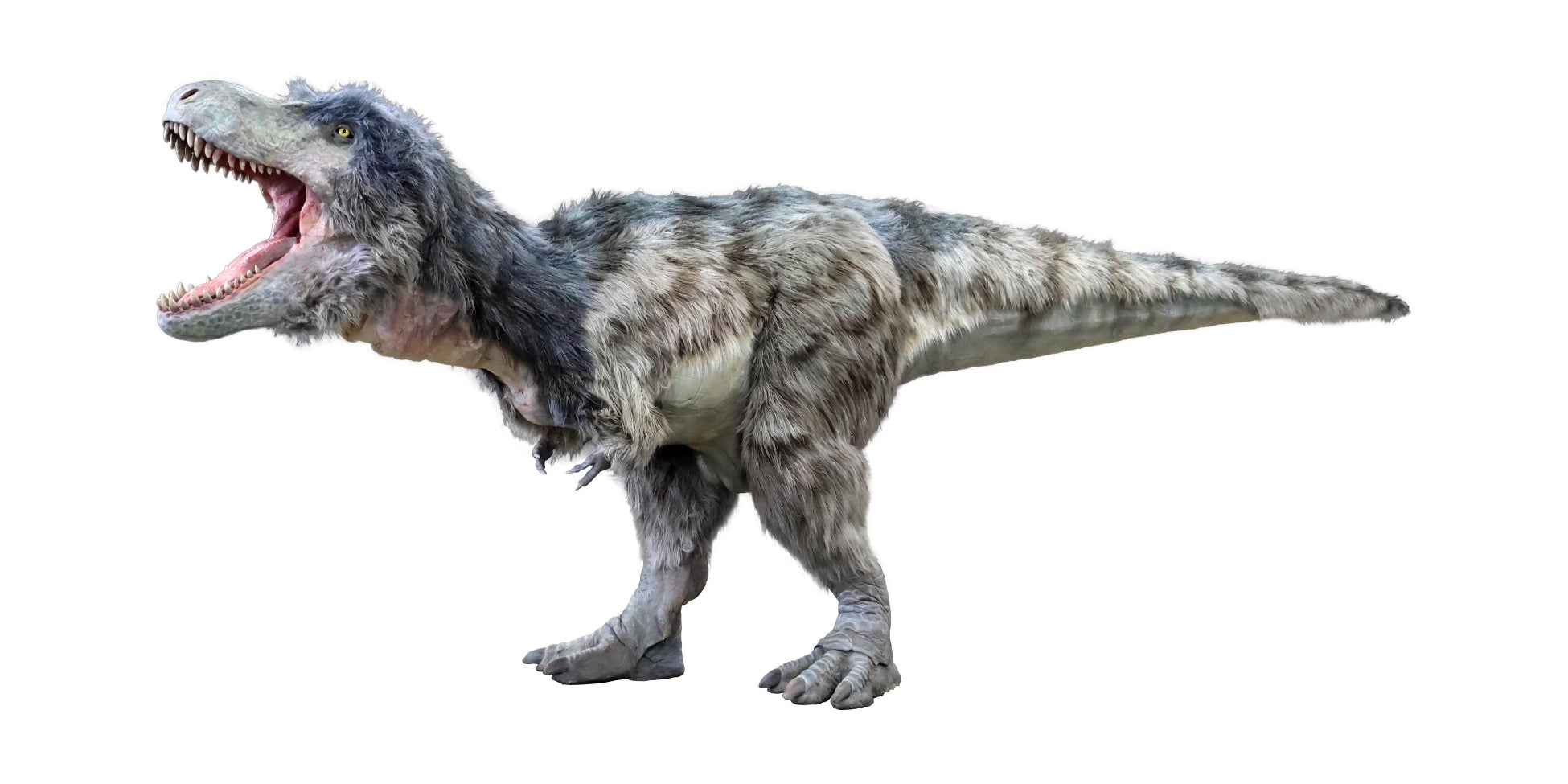 GWはまちなかスタジアムで遊びつくせ!楽しさ無限大の『KIDS WONDER STADIUM』開催!