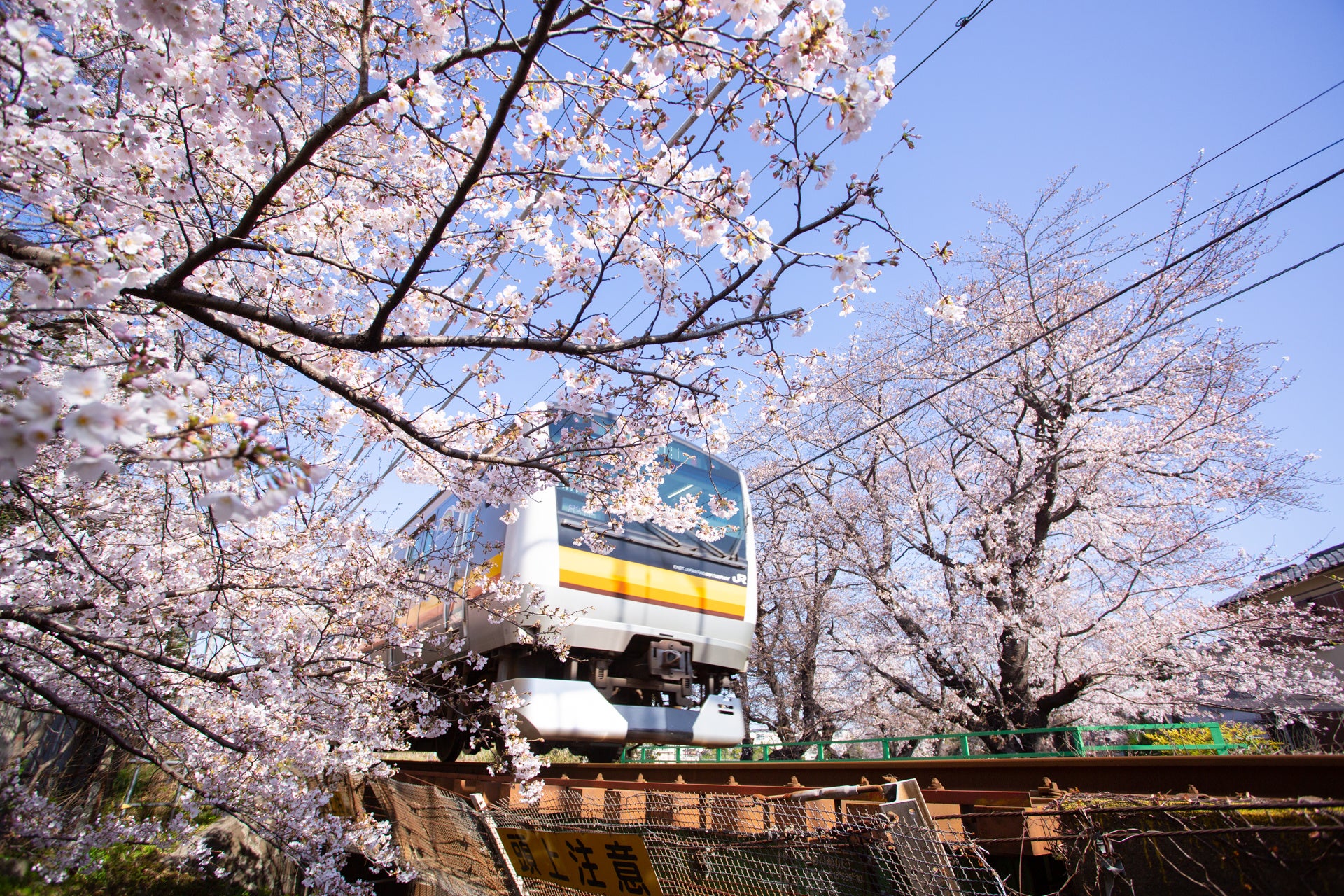UNO HOTEL×BettySmithデニムコンセプトルーム
