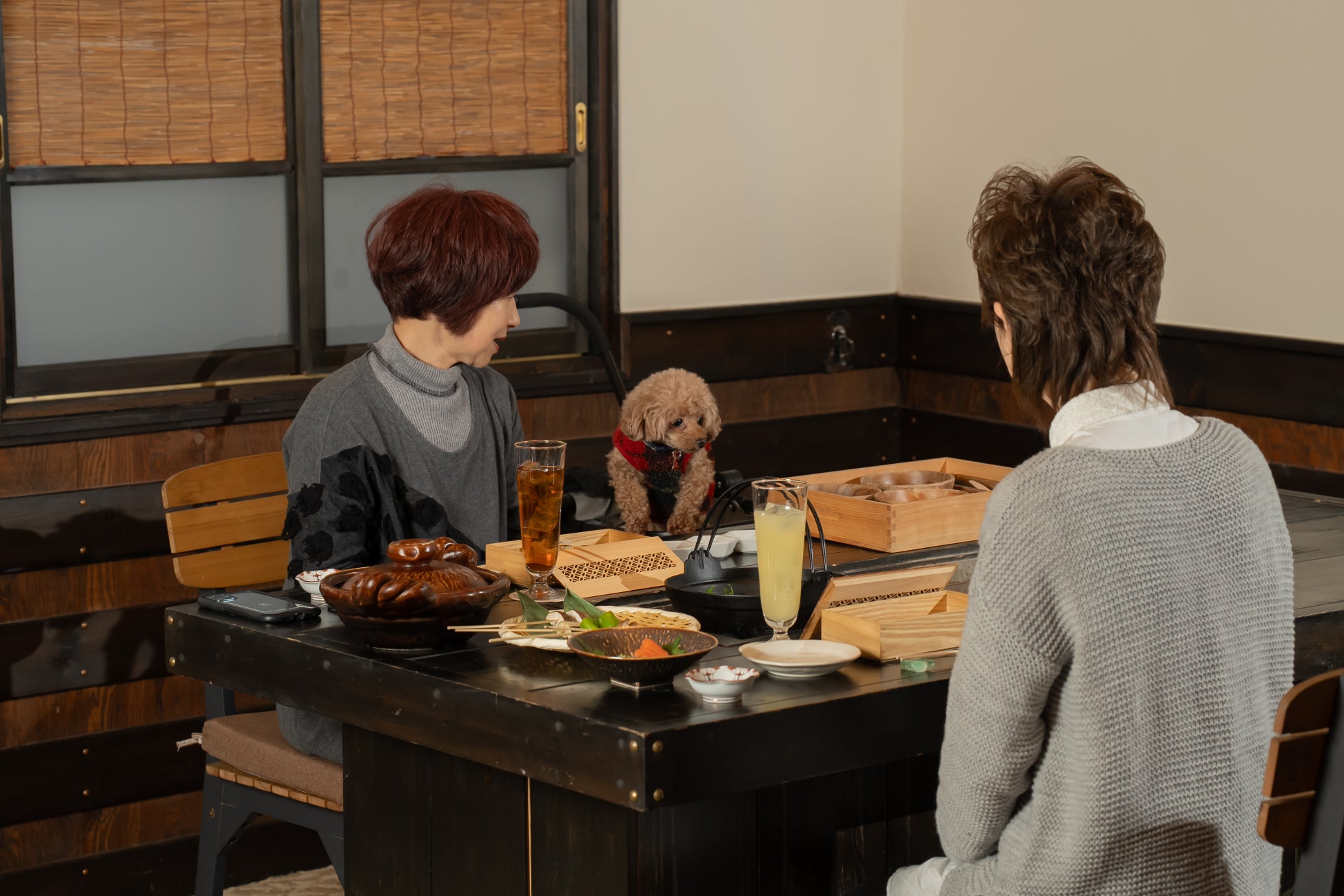 ABCアークが、指定90周年を迎える国立公園の歴史的魅力をまとめたフリーペーパー『国立公園人』を環境省と共同制作