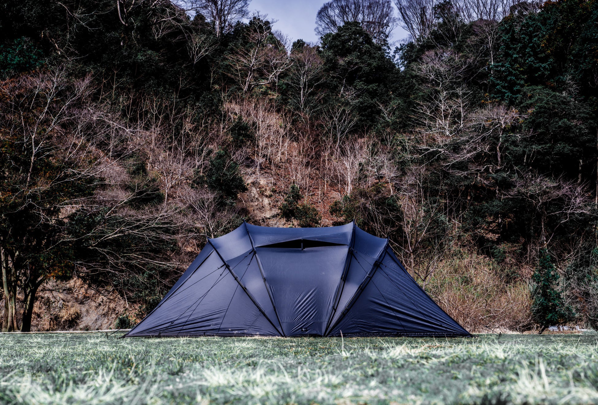 桜色の夜に乾杯!春の特別プラン