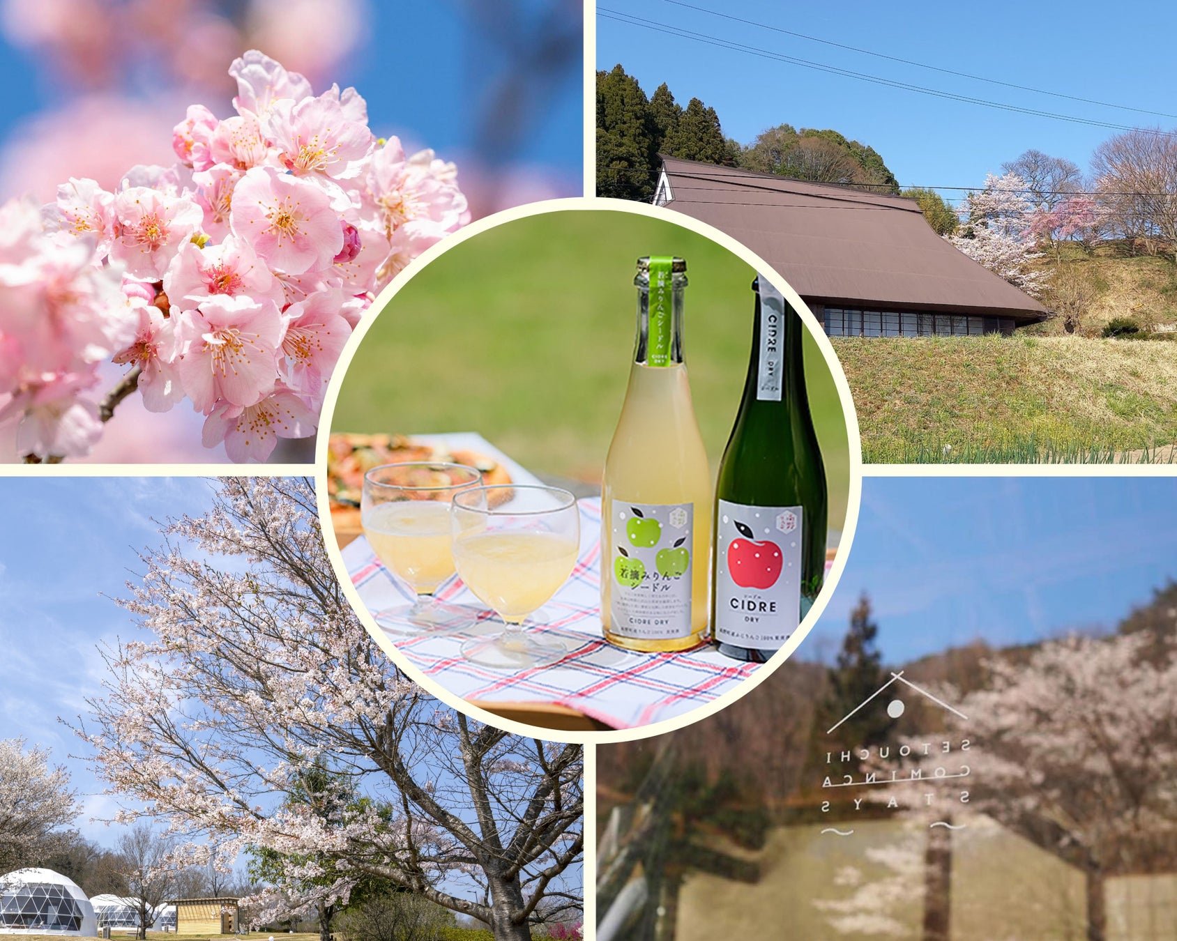 愛犬と一緒に楽しめるコンテンツ充実『GOGO DOG FES』5月17日・18日に三井アウトレットパーク 木更津で開催決定!