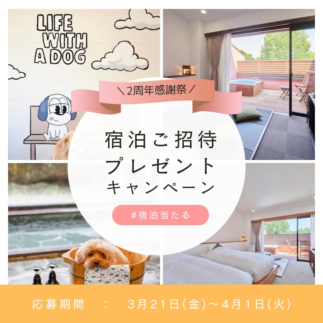 〜2周年記念〜ご宿泊券プレゼント！“愛犬と泊まる’’全5室の温泉ホテル【ドギーズ 伊豆城ヶ崎】