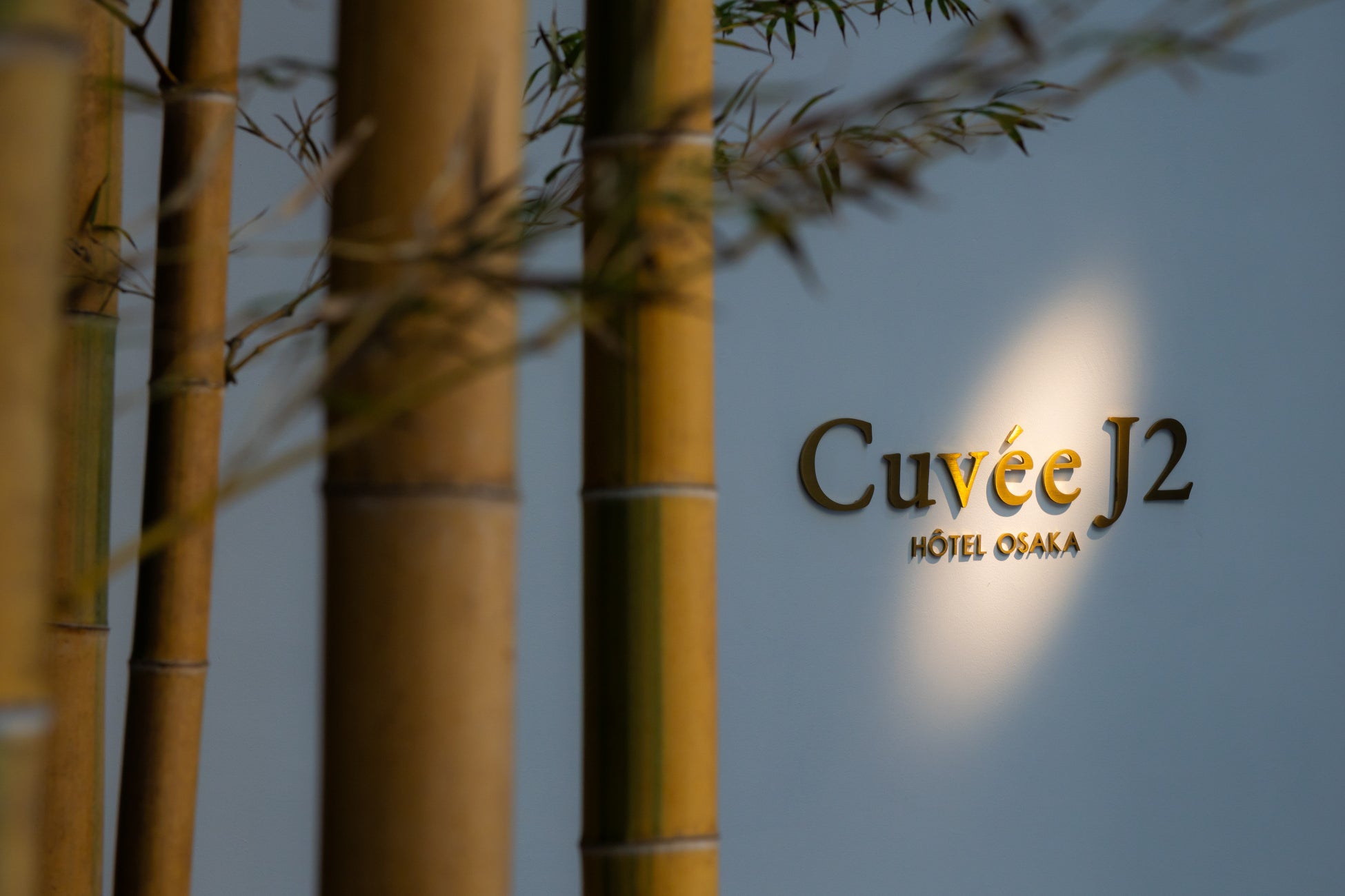 横浜から気軽に行ける道の駅85駅 グルメ＆カタログ掲載の保存版「横浜LOVEWalker 2025春」を発売！