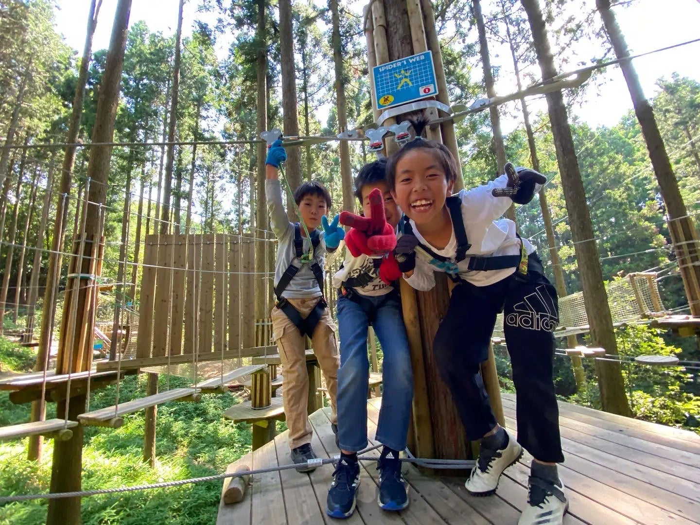 【広島/世羅】さくら祭り開園日 3月28日(金)に変更 ポートレート撮影会やブーケ販売、体験メニューあり《世羅高原農場》