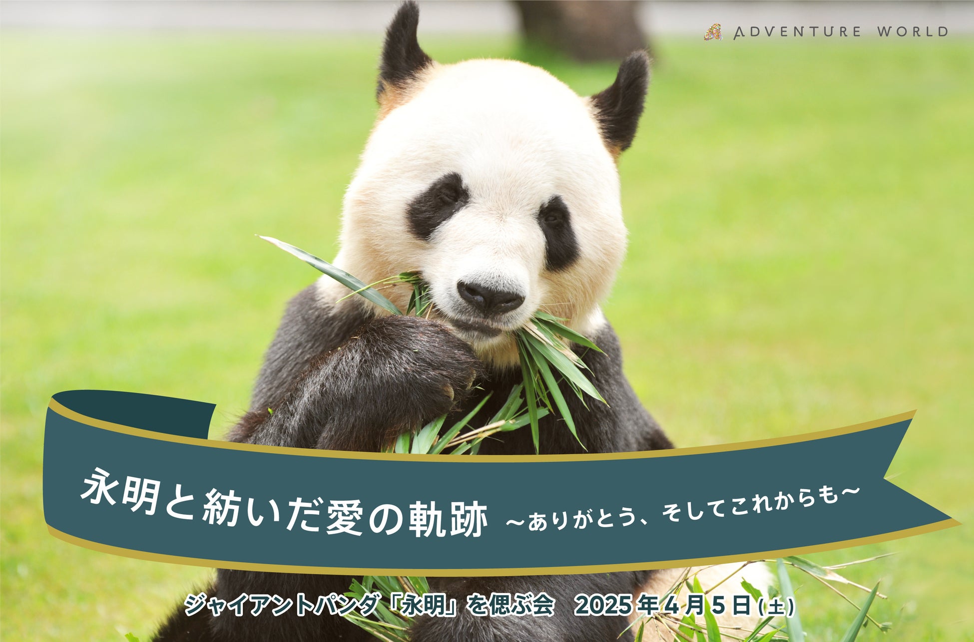 ANA LIVE SHOPPING ショートムービー 第7回 日本国際観光映像祭 日本部門 カテゴリー「プロジェクト」 優秀賞 受賞!!