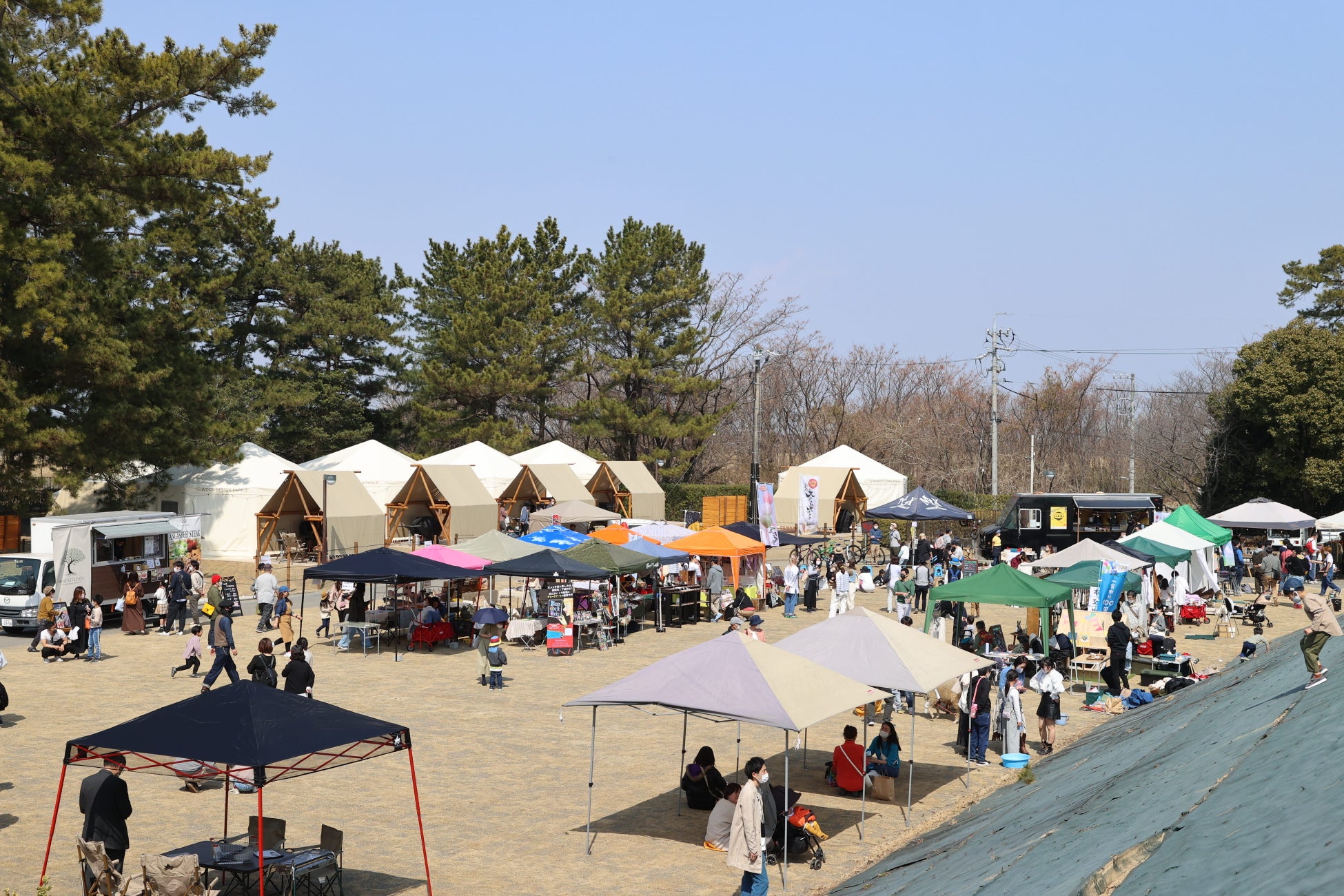 石ノ森萬画館で開催される特別企画展「かえるのピクルスふりかえる展 in いしのまき」の詳細が発表になりました！！（2025.4/19～7/13）【宮城県石巻市】