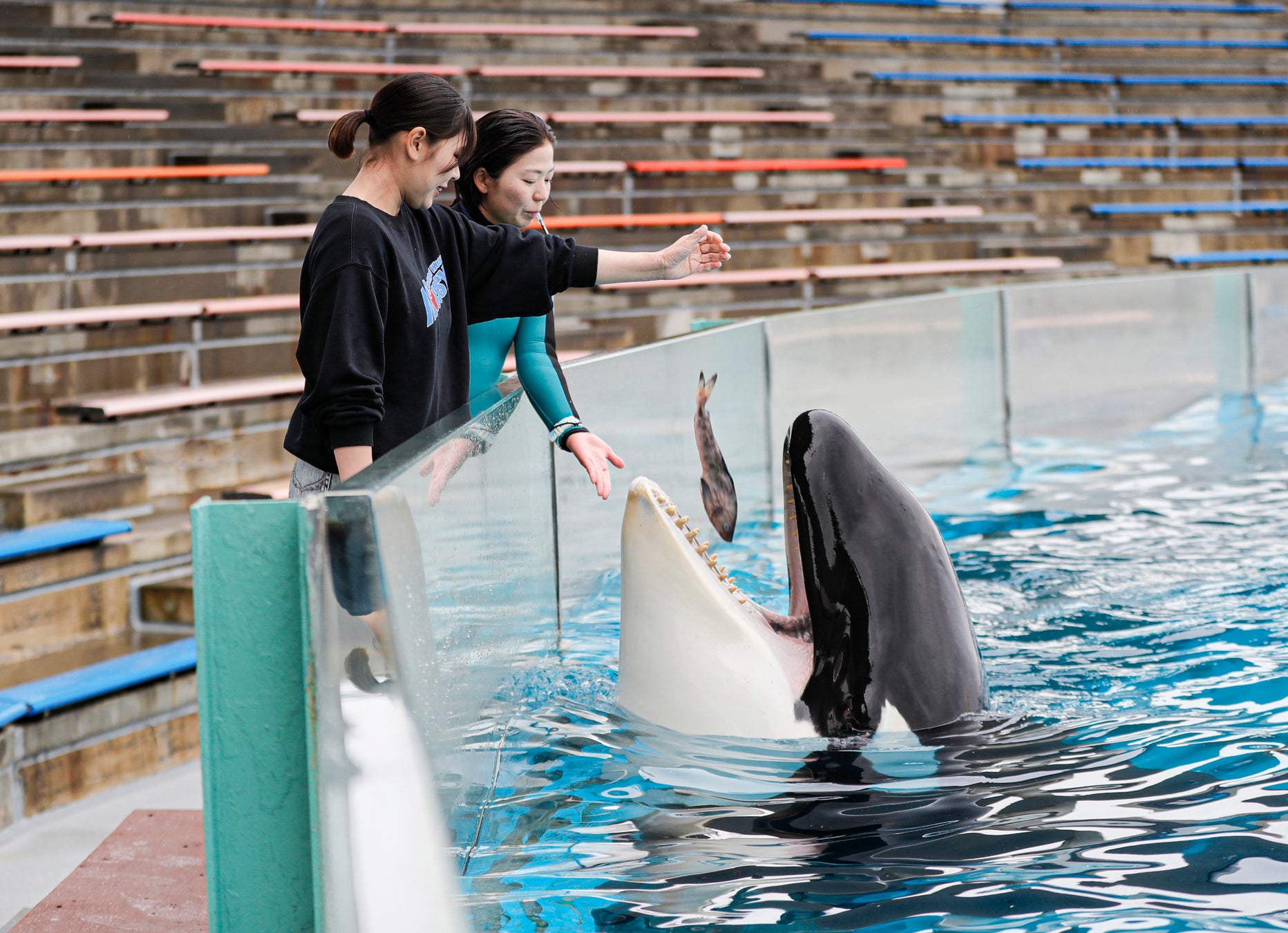 旅館・ホテル業界向け｜日本人旅行客のLTV最大化戦略をまとめた最新トレンド・事例紹介レポート【2025年4月版】