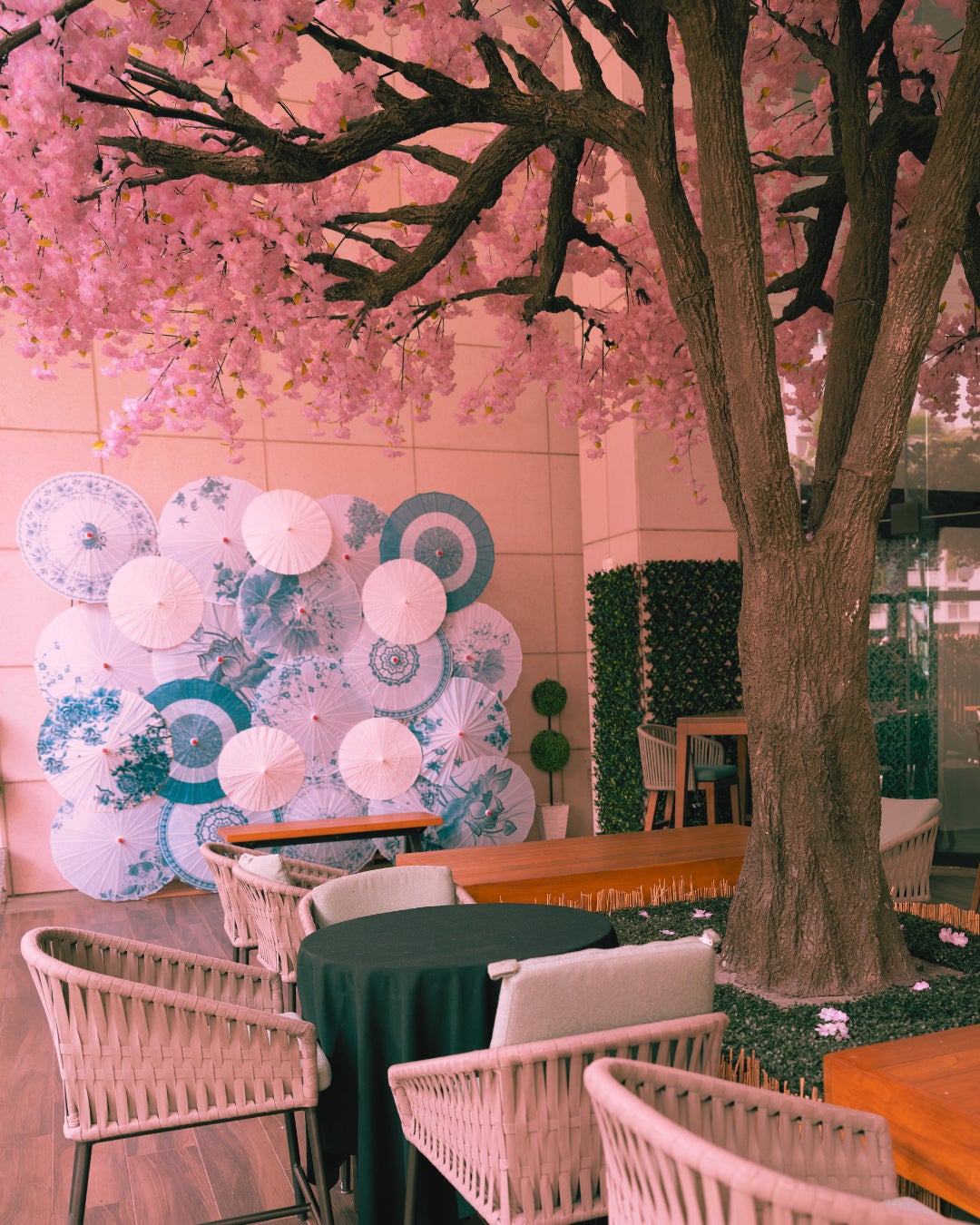 日本旅行創業120周年記念 特別企画 歌舞伎の舞とピアノの奏 一夜限りの夢の舞台を鑑賞するBESTツアー『トルコ千一夜物語』を発売