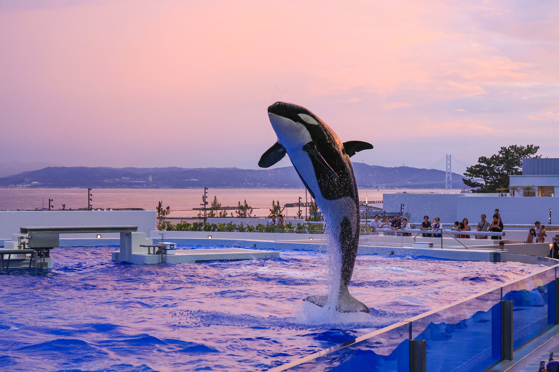 【ホテルドリームゲート舞浜】さらに滞在の楽しみが広がる快適な空間へ