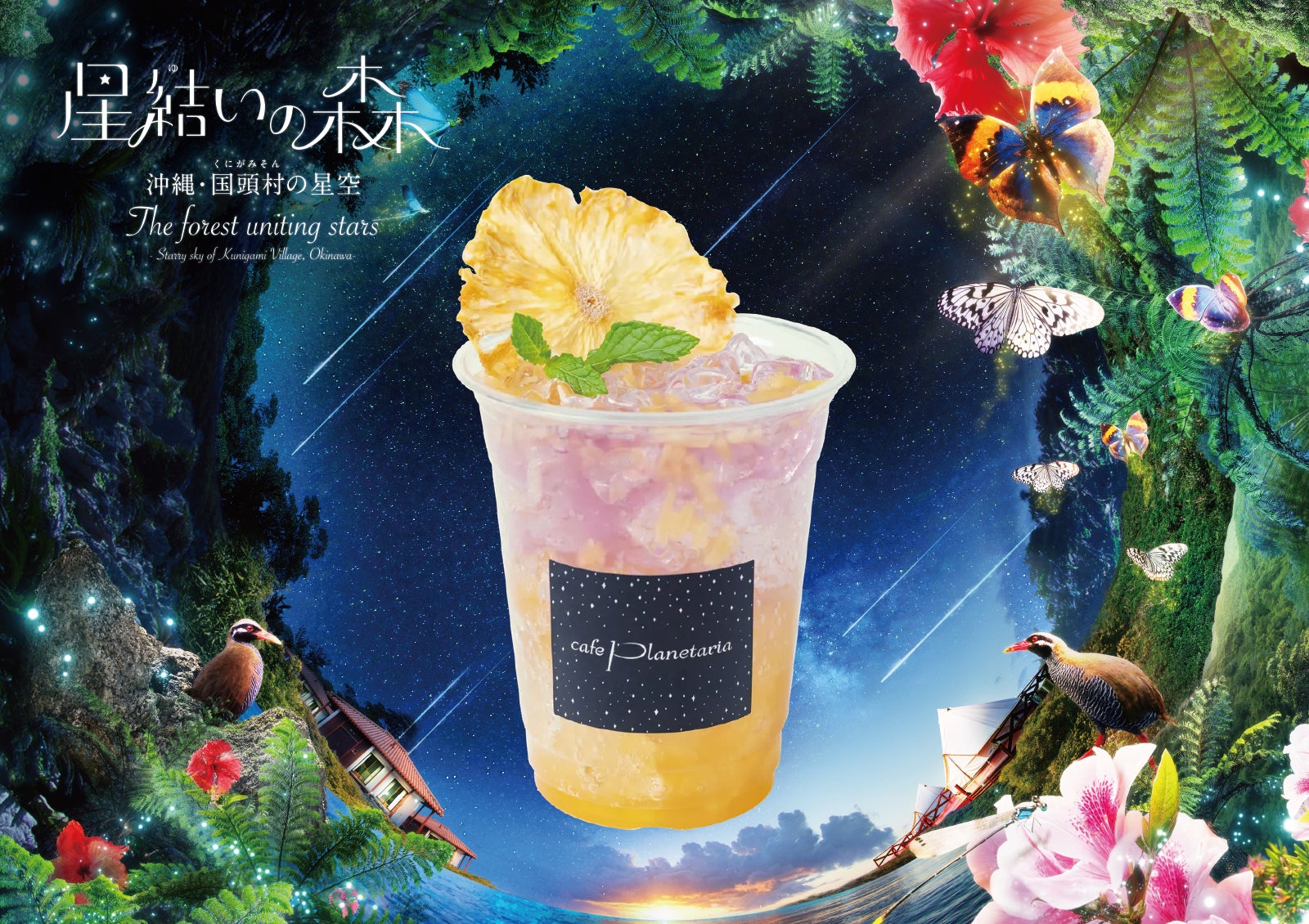 Kyoto Sports Nutrition社とのパートナーシップ締結のお知らせ