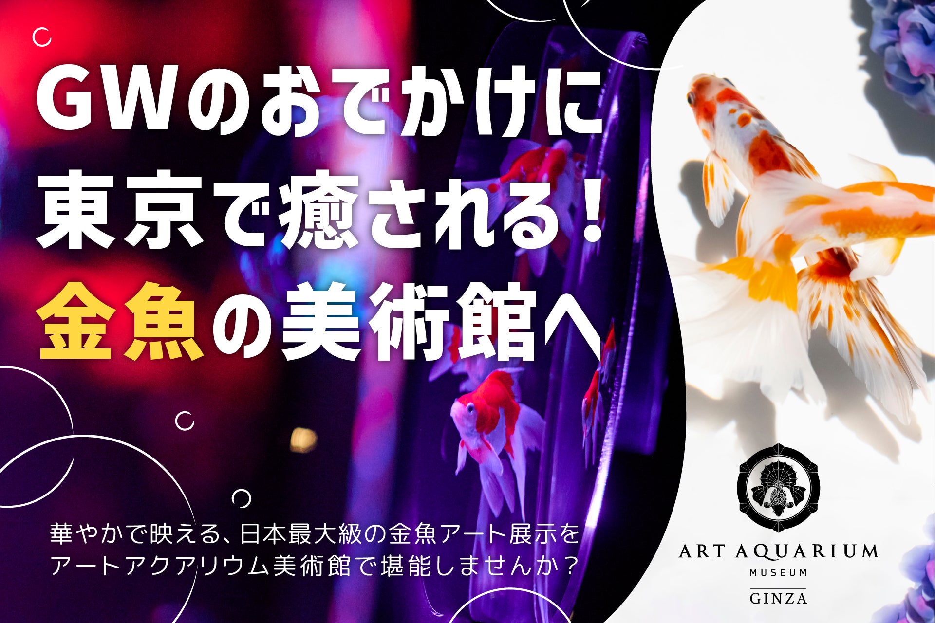 GWのおでかけに“癒し”のアートアクアリウム美術館へ！ 都内おでかけの思い出の1ページに銀座で金魚アートに触れる華やかな特別体験を