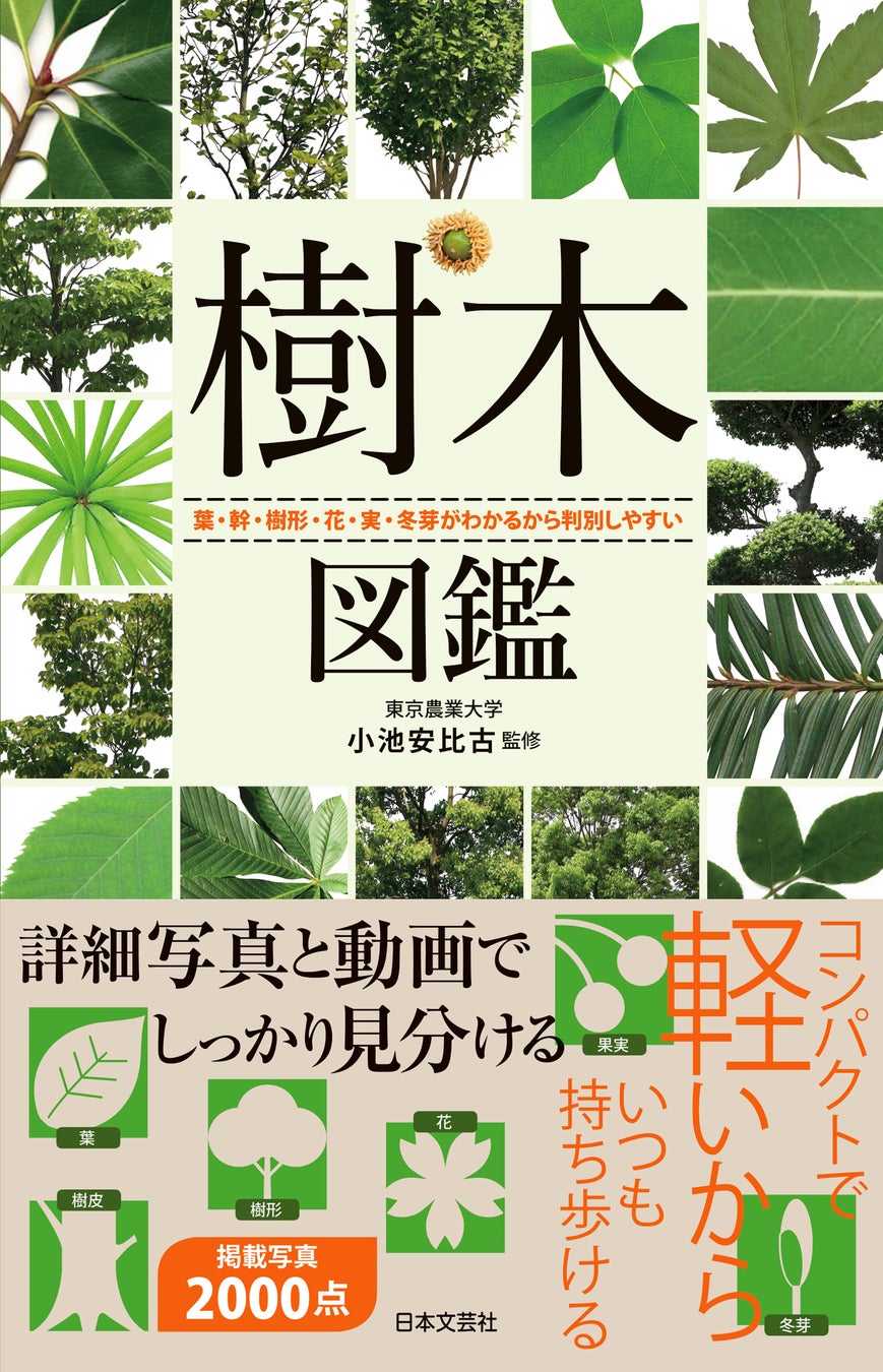 夏の旬を涼やかに味わう！「THE LIVELY 福岡博多」にて、和の食材と器で楽しむ“和×イタリアン”の夏季限定コースメニューが6月1日(日)より登場