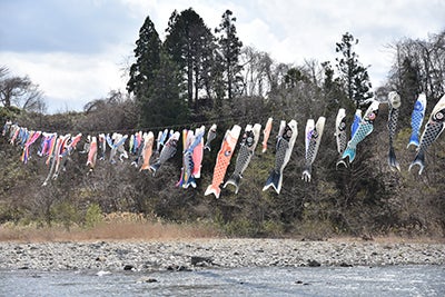 【雫石プリンスホテル】春の雫石町風物詩　こいのぼり掲揚イベントを本年新たに実施『伝統こいのぼり　IN　雫石プリンスホテル』