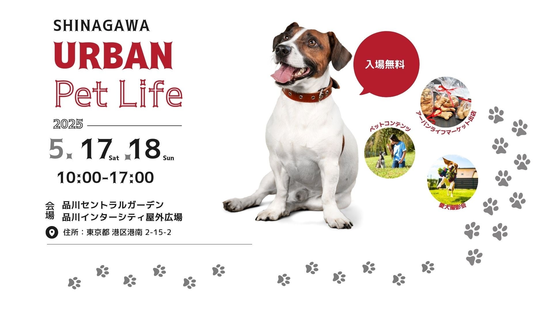 大阪万博でホテル料金が最大4倍に高騰「大阪の高級民泊」が無料宿泊キャンペーンを期間限定で実施