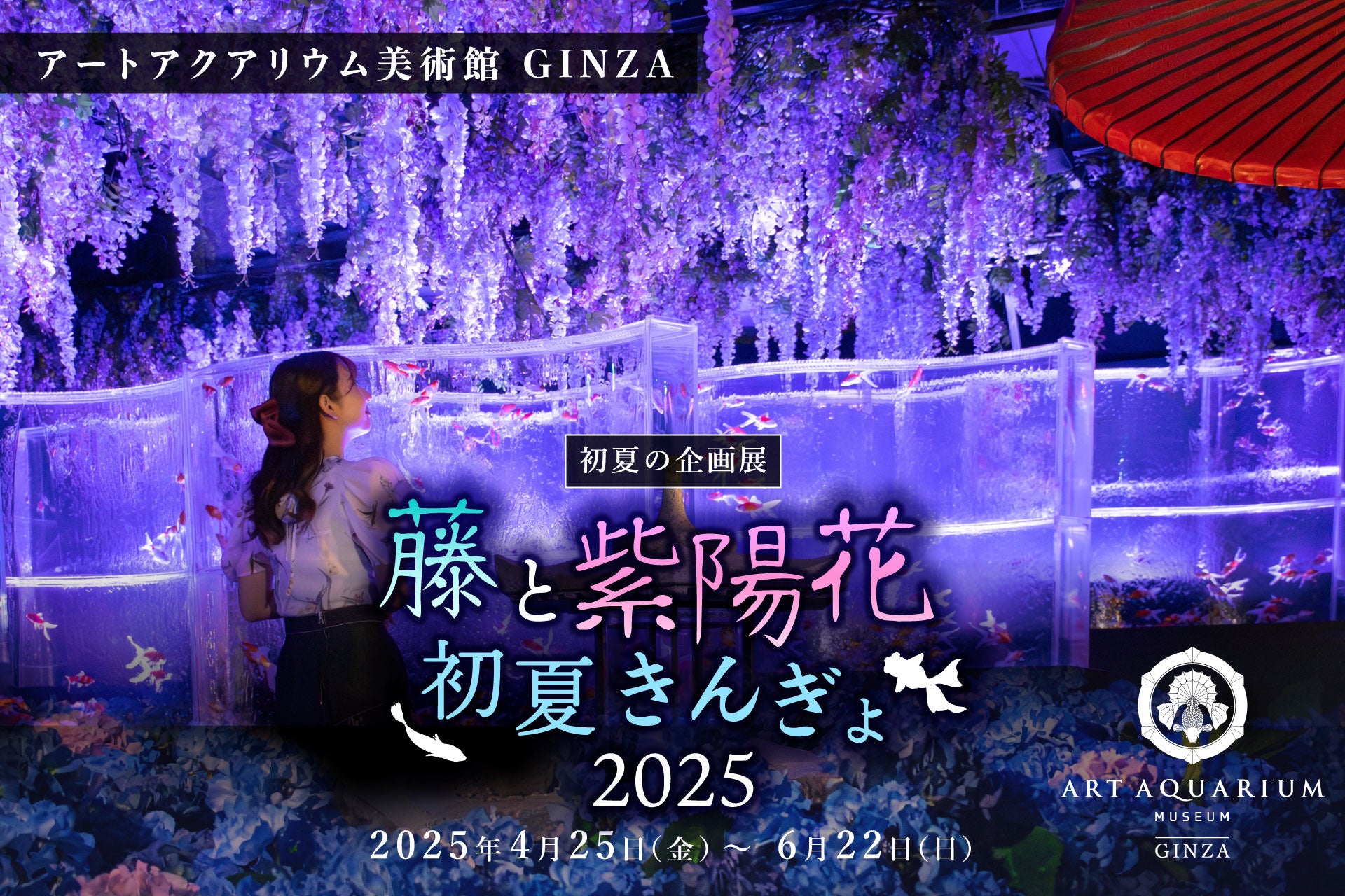 光と花に包まれる華麗な“紫”のアート空間 藤と紫陽花が織りなす、初夏の幻想的なインスタレーションを。 アートアクアリウム美術館 初夏の企画展「藤と紫陽花 初夏きんぎょ2025」4月25日（金）開幕