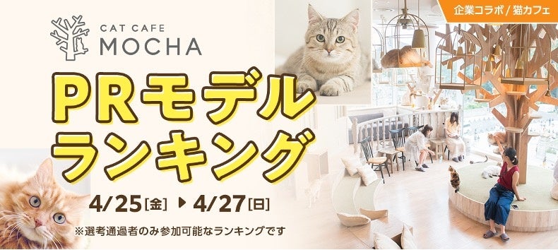 【猫カフェMOCHA PRモデルオーディション】好評につきMirrativでの開催が決定！駅広告＆全国店舗ポスター掲載のチャンス！「猫カフェMOCHA PRモデルオーディション」