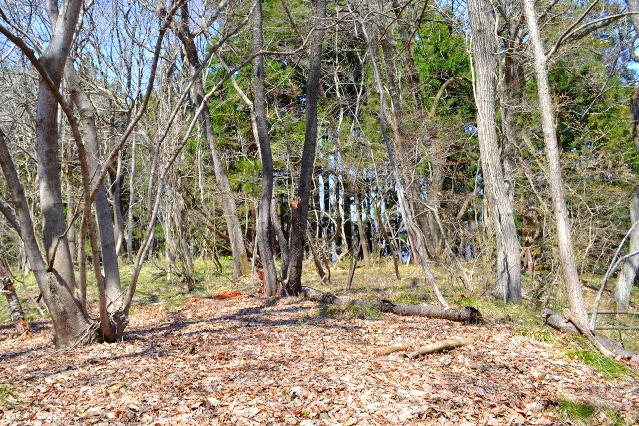 旅がもっと楽しくなる、旅の道のりも楽しむ新メディア『タビノリ』がオープン！