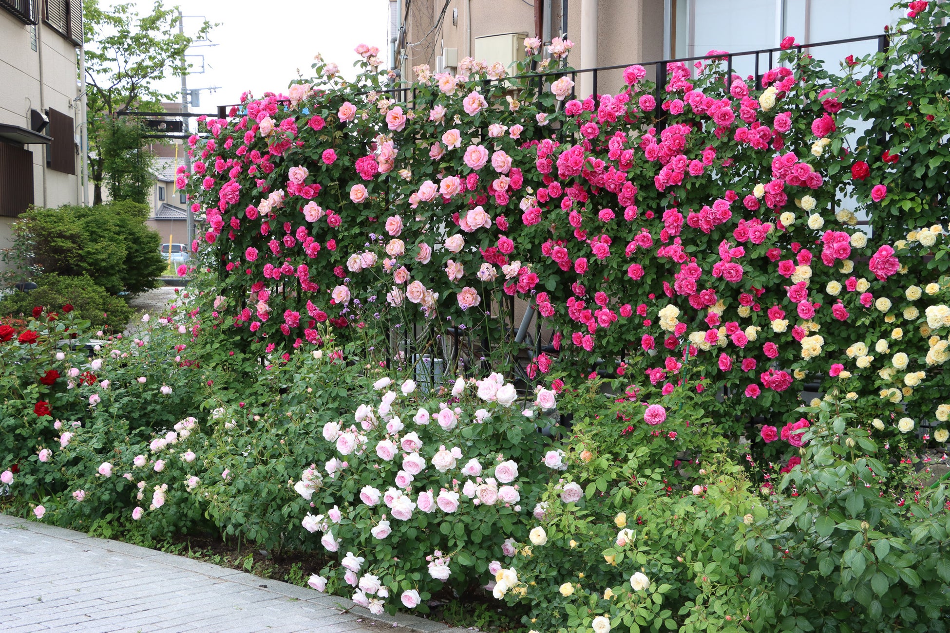 ＧＷの豊橋駅前は大道芸人がジャック！　マルシェやライブなどのイベントスケジュールをご紹介
