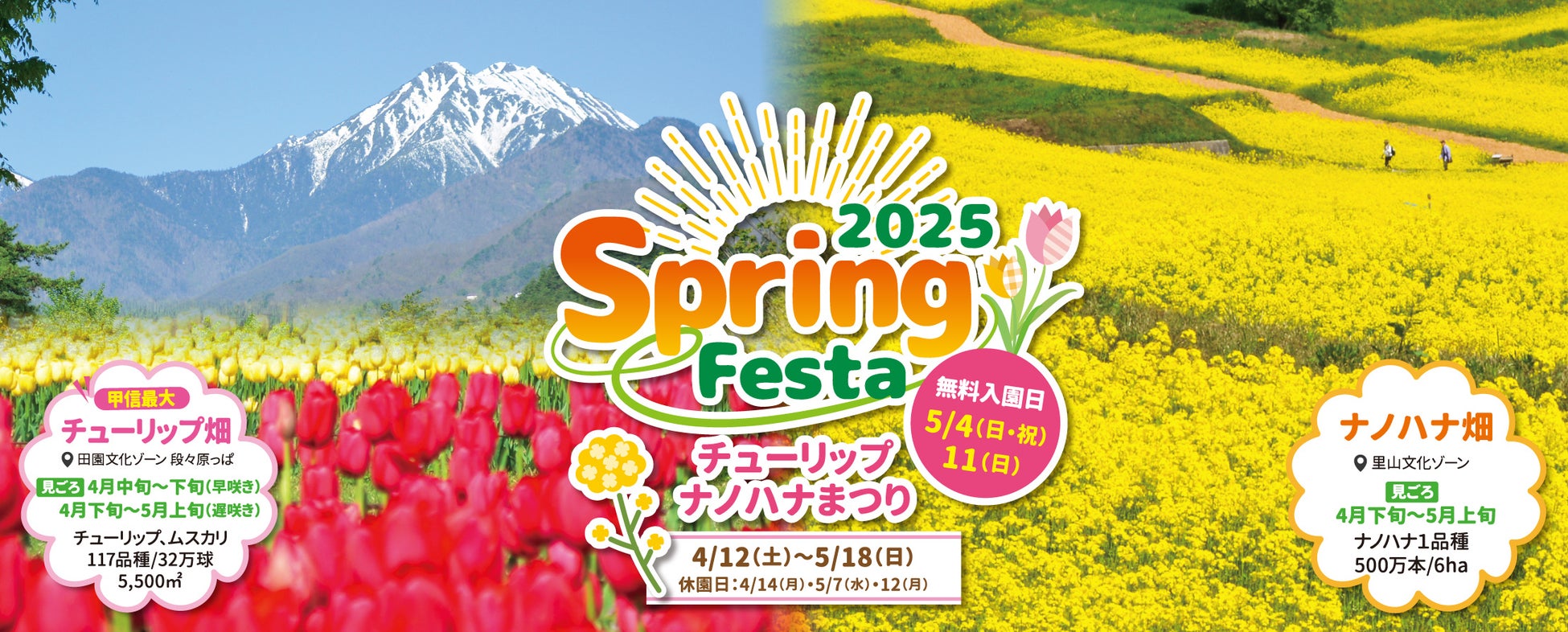 【収納革命】たたむとたったの11cm！専用コンテナ付き折りたたみ台車を発売