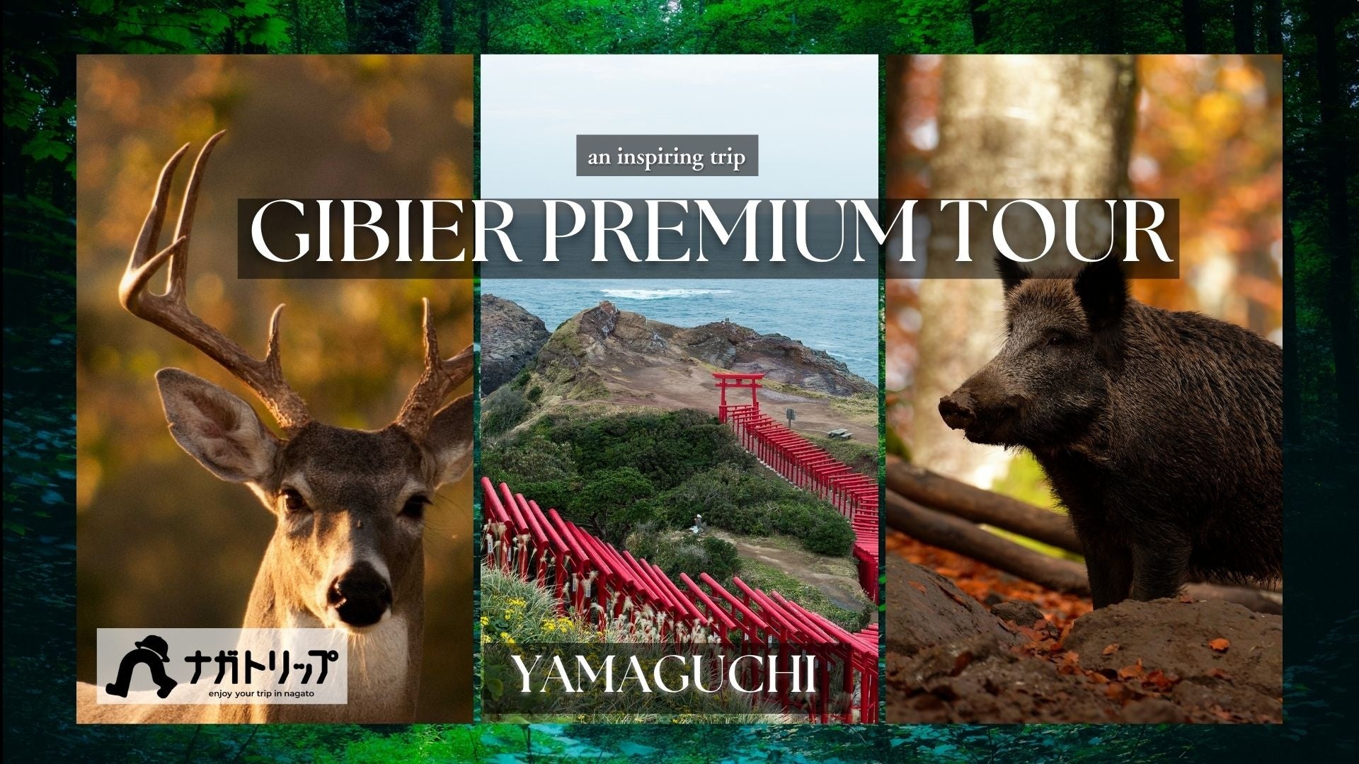 体験プログラム“ナガトリップ”にて特別な体験プログラム「PREMIUM GIBIER TOUR in YAMAGUCHI」を開催いたします