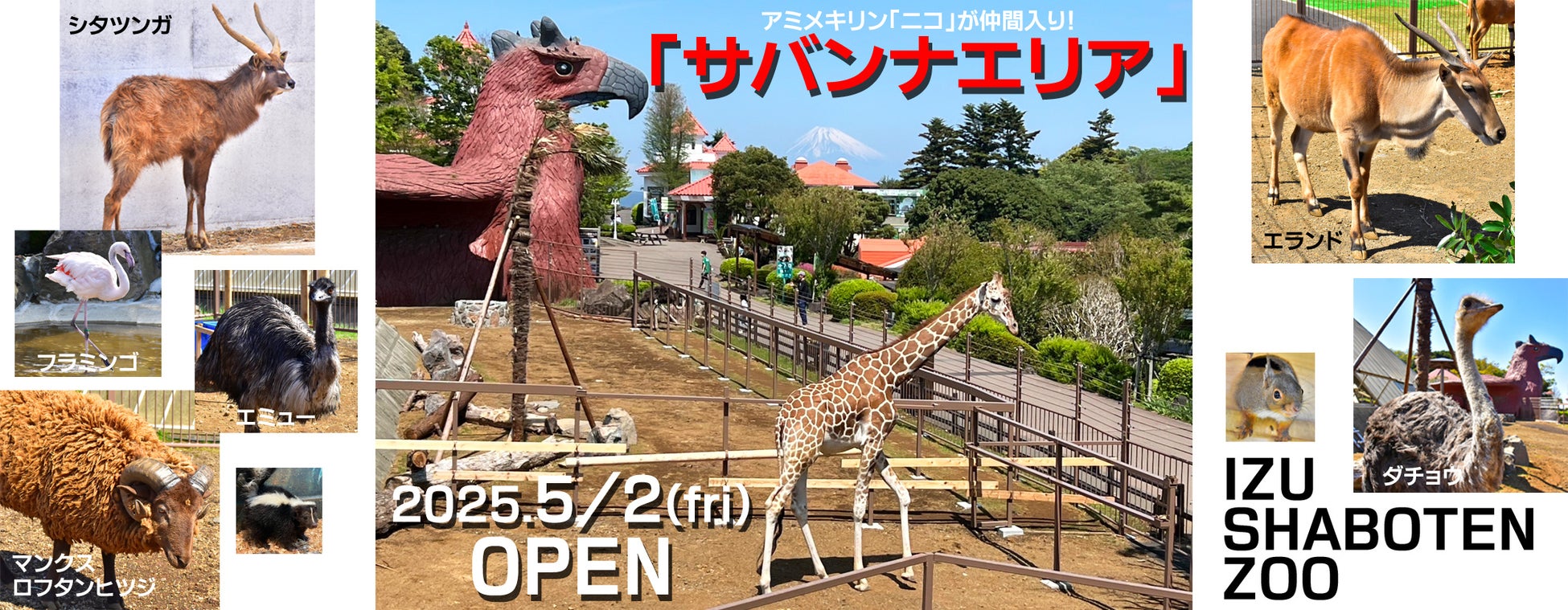 マイステイズ・ホテル・マネジメント　「八ヶ岳高原ロッジ」「八ヶ岳高原ヒュッテ」「八ヶ岳高原音楽堂」