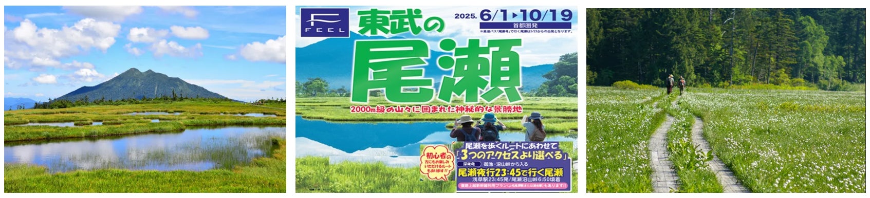 早朝の尾瀬へ！「尾瀬夜行23：45」商品を発売します！