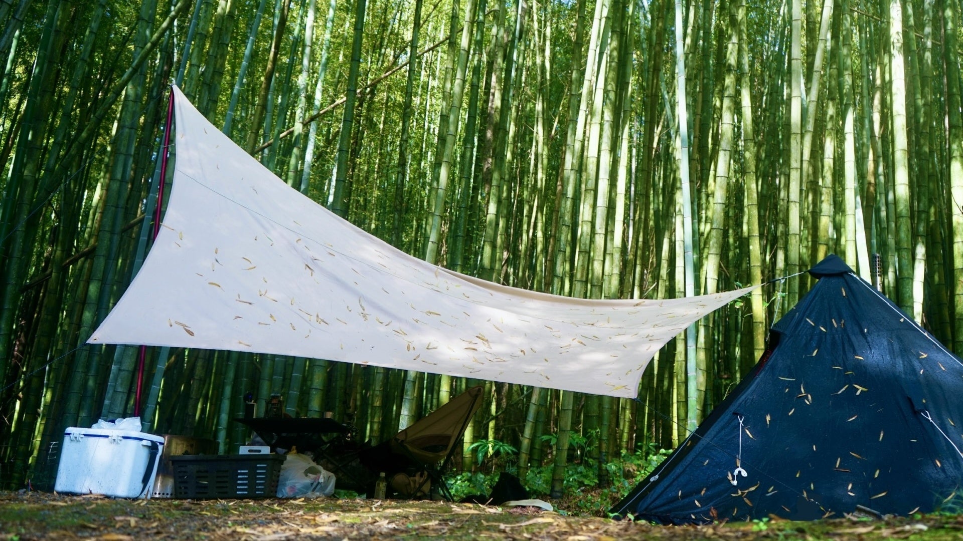 都市近郊で始まる新しい竹林利用　「森林レンタル」サービスが茨城県龍ヶ崎市に誕生