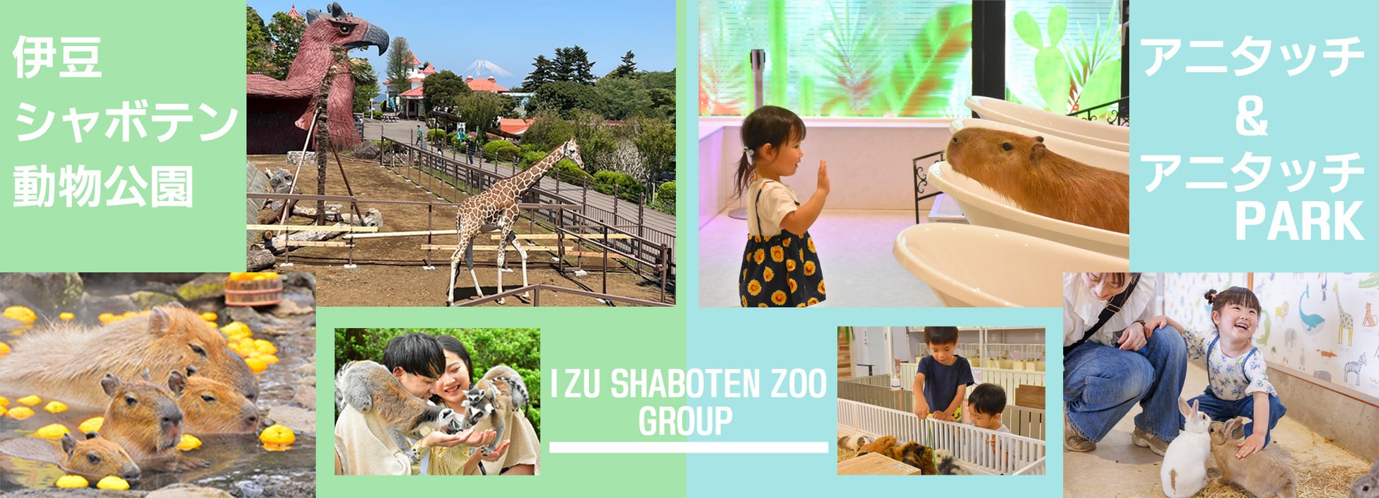 伊豆シャボテン動物公園グループ 動物関連施設 「シャボテン」×「アニタッチ」2024年度年間来場者数130万人突破