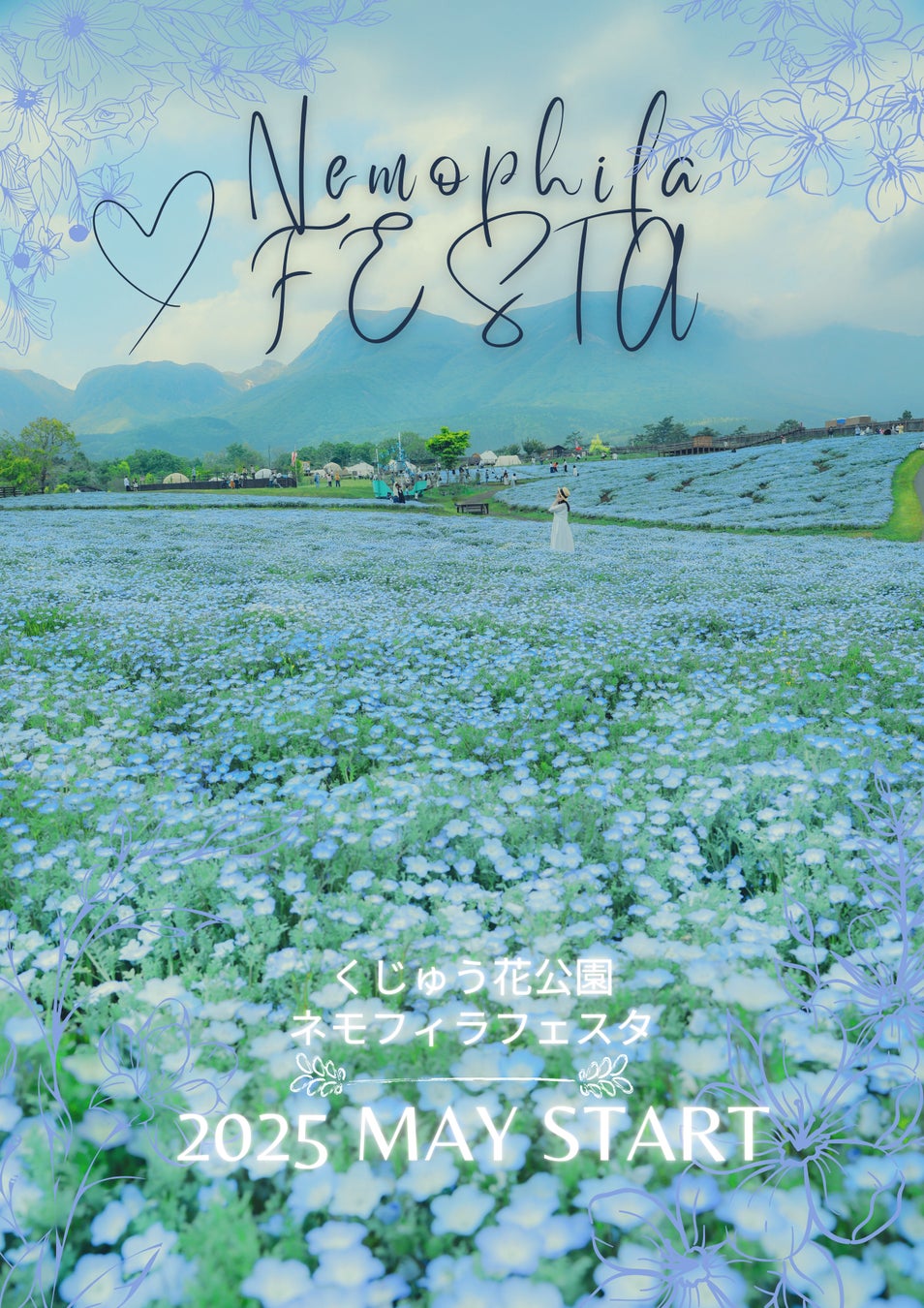 青の絶景　ネモフィラ満開