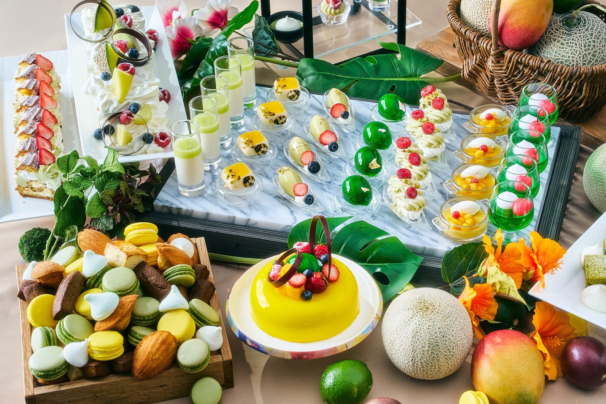 【SNS総フォロワー3ヶ月で10万人突破】「Sushi Making Japan」が提供する「寿司握り体験」が世界中の訪日観光客から支持拡大中！
