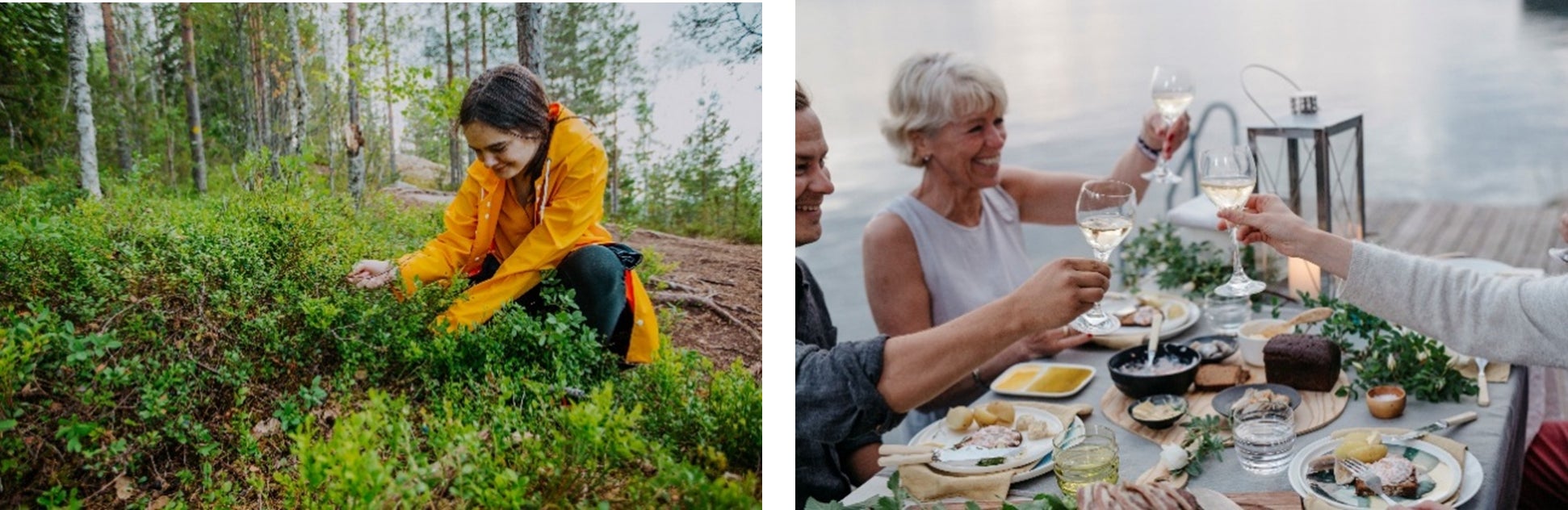 Visit Finland、フィンランドでワイルドハーブが楽しめるレストラン4選をご紹介