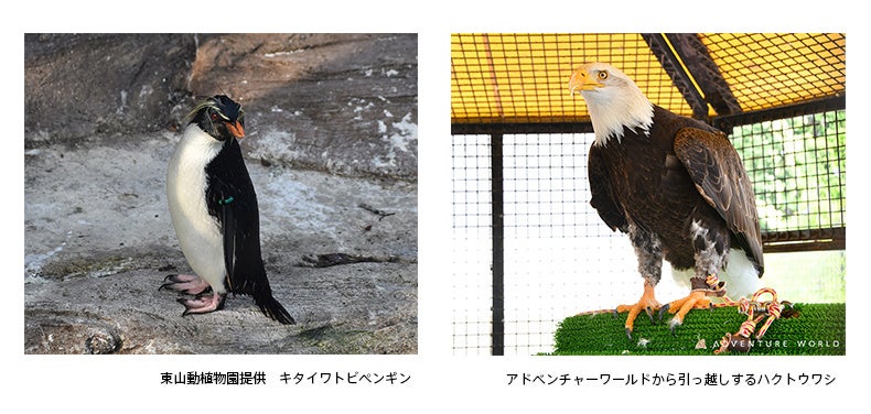 トワイライトゾーンへようこそ