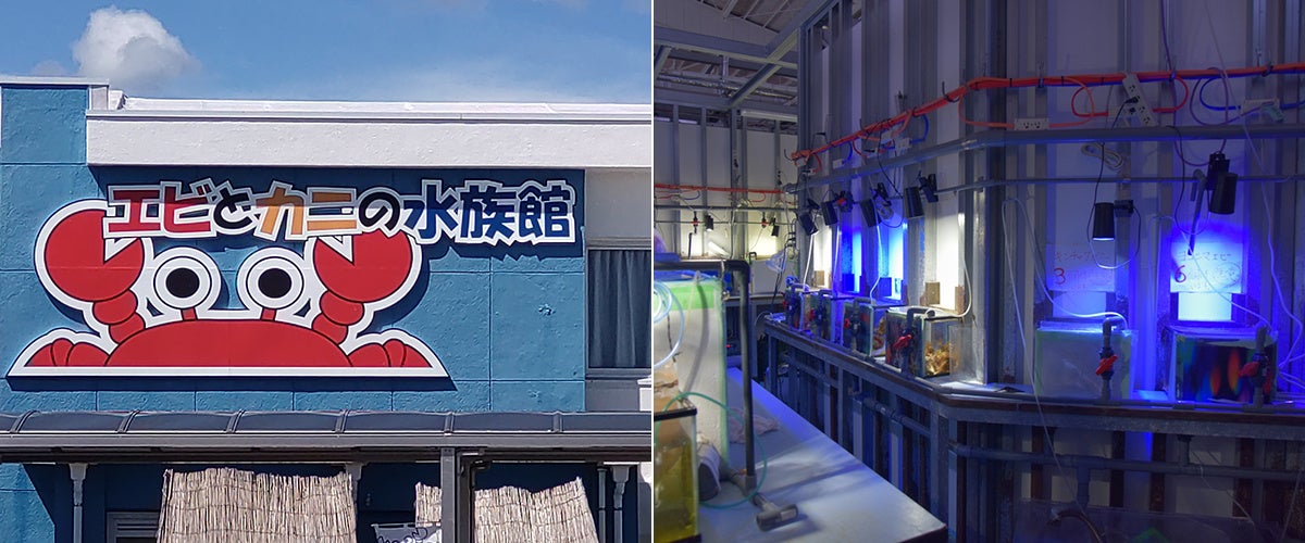 【フェアフィールド・バイ・マリオット 道の駅プロジェクト】夏休み、親子で楽しむ水族館バックヤードツアーを7月26日開催！