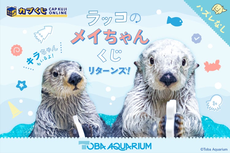『鳥羽水族館』のアイドルが帰ってきた！　「ラッコのメイちゃん」の誕生日を、可愛らしいグッズでお祝いします！