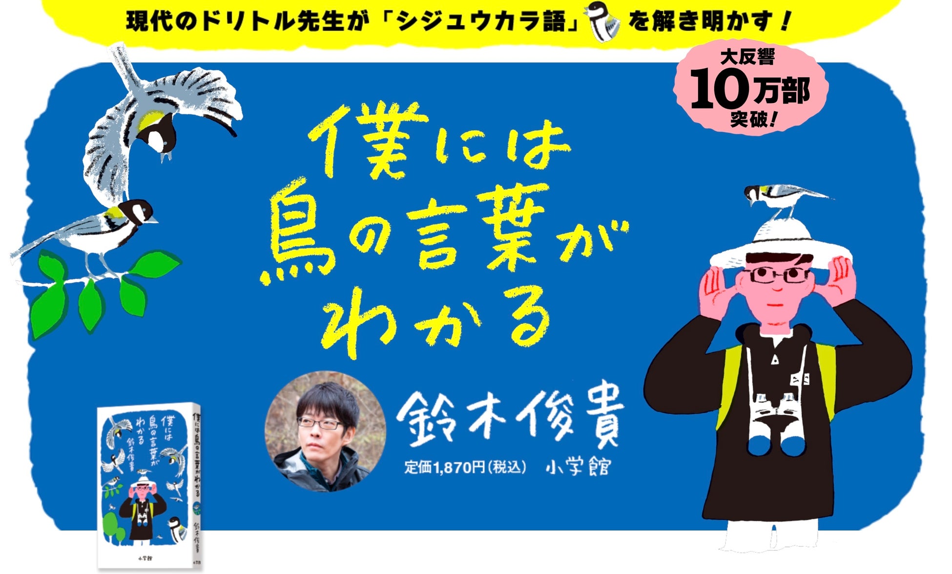 フェニックス・シーガイア・リゾート リブランドを記念した「シーガイア フェスティバル」を2025年6月7日（土）に開催！特別な宿泊プランも登場！
