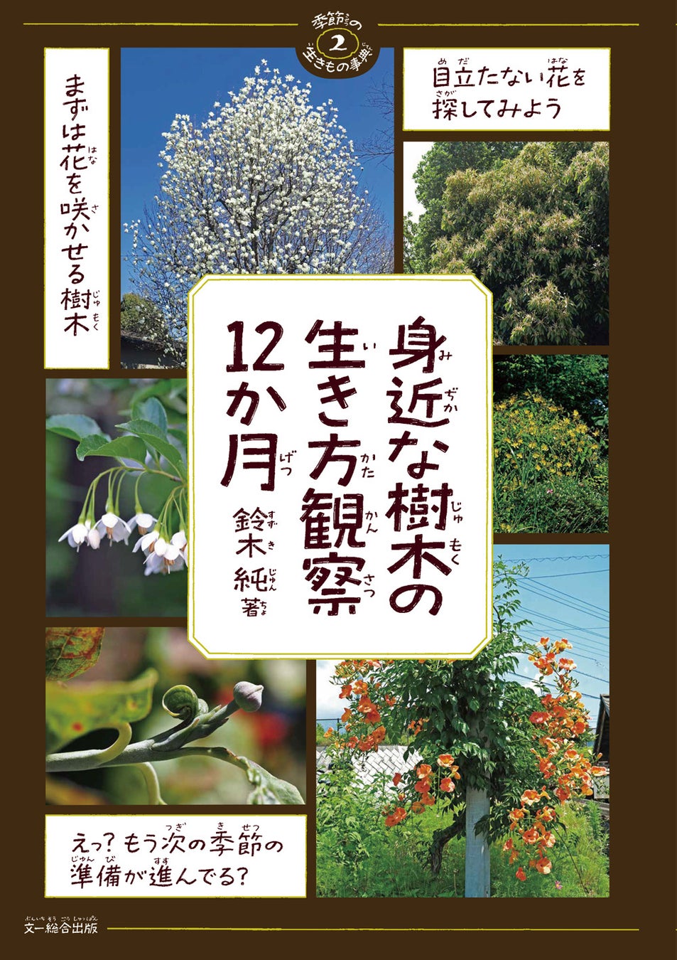 身近な場所で観察できる、楽しい樹木観察のヒントが盛りだくさん!?『身近な樹木の生き方観察12か月』発売中！
