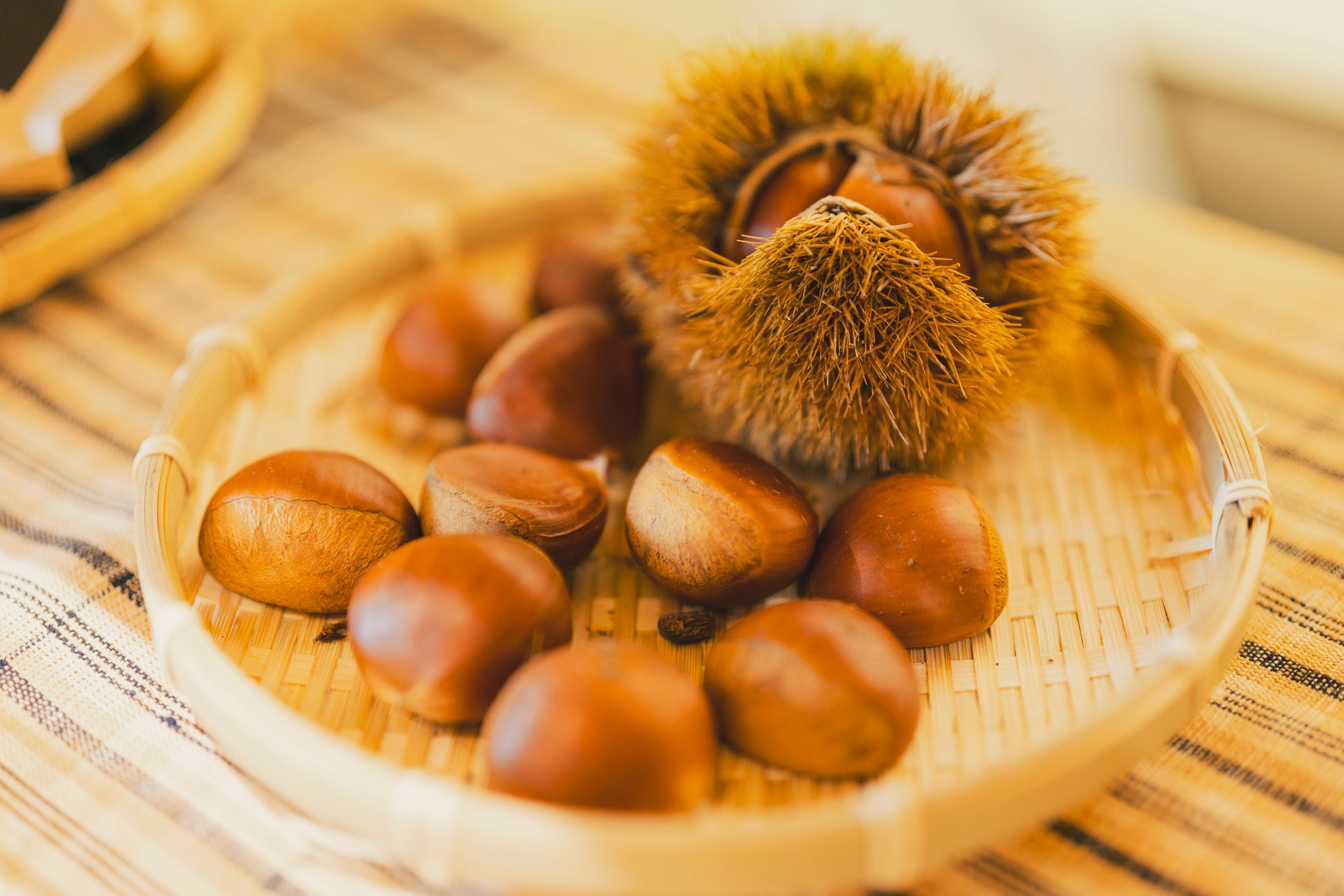 北海道・京都で新ホテルを5軒開業!2026年九州・福岡への進出も決定