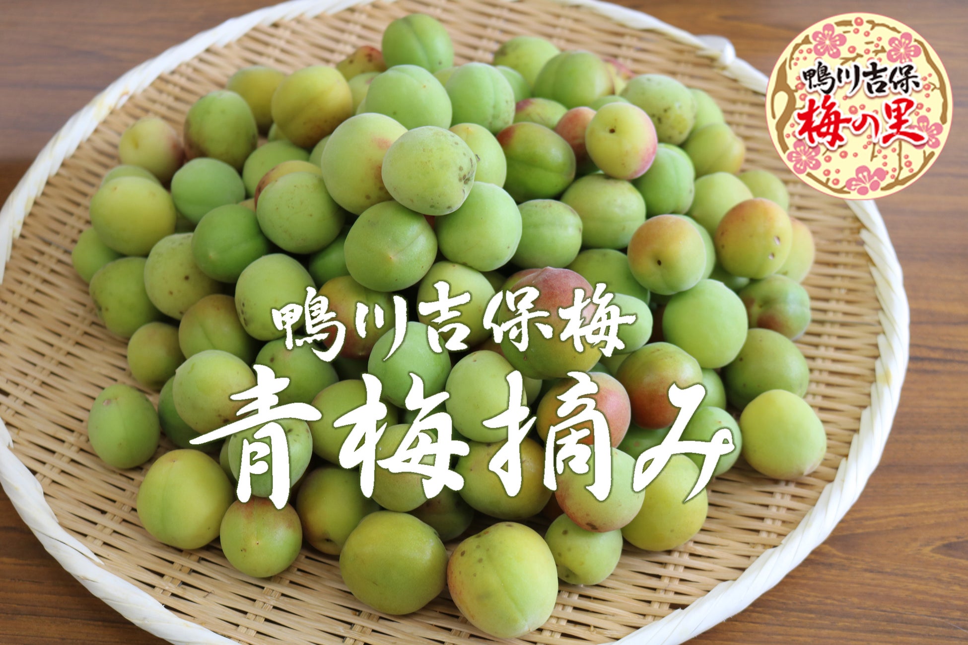 東北初！「第1回 松島 泡酒フェス」を5月31日（土）より開催