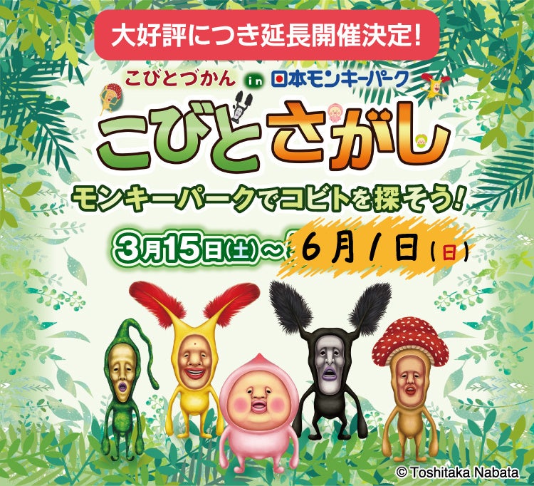 【日本モンキーパーク】こびとづかん in 日本モンキーパーク「こびとさがし」の延長開催が決定！2025年6月1日(日)まで＜愛知＞
