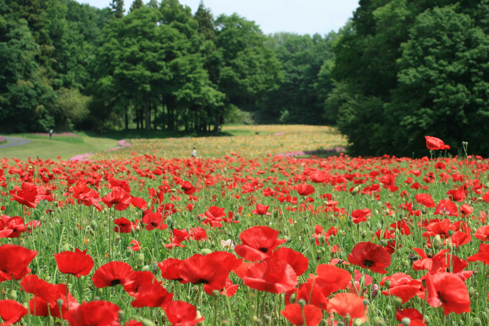 〈歓宿縁 ESHIKOTO〉大本山永平寺の朝のお勤めに参加できるツアーがスタート。700 年以上続く歴史と伝統を受け継ぐ禅の道場で禅の世界を体験。