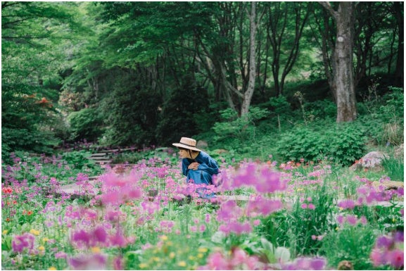 春限定の絶景「白川湖の水没林」を締めくくる、「緑の水没林 気球フライト」初開催と、「飯が豊かな」飯豊町と水没林のストーリーを体現するお酒「永遠酔」の発売