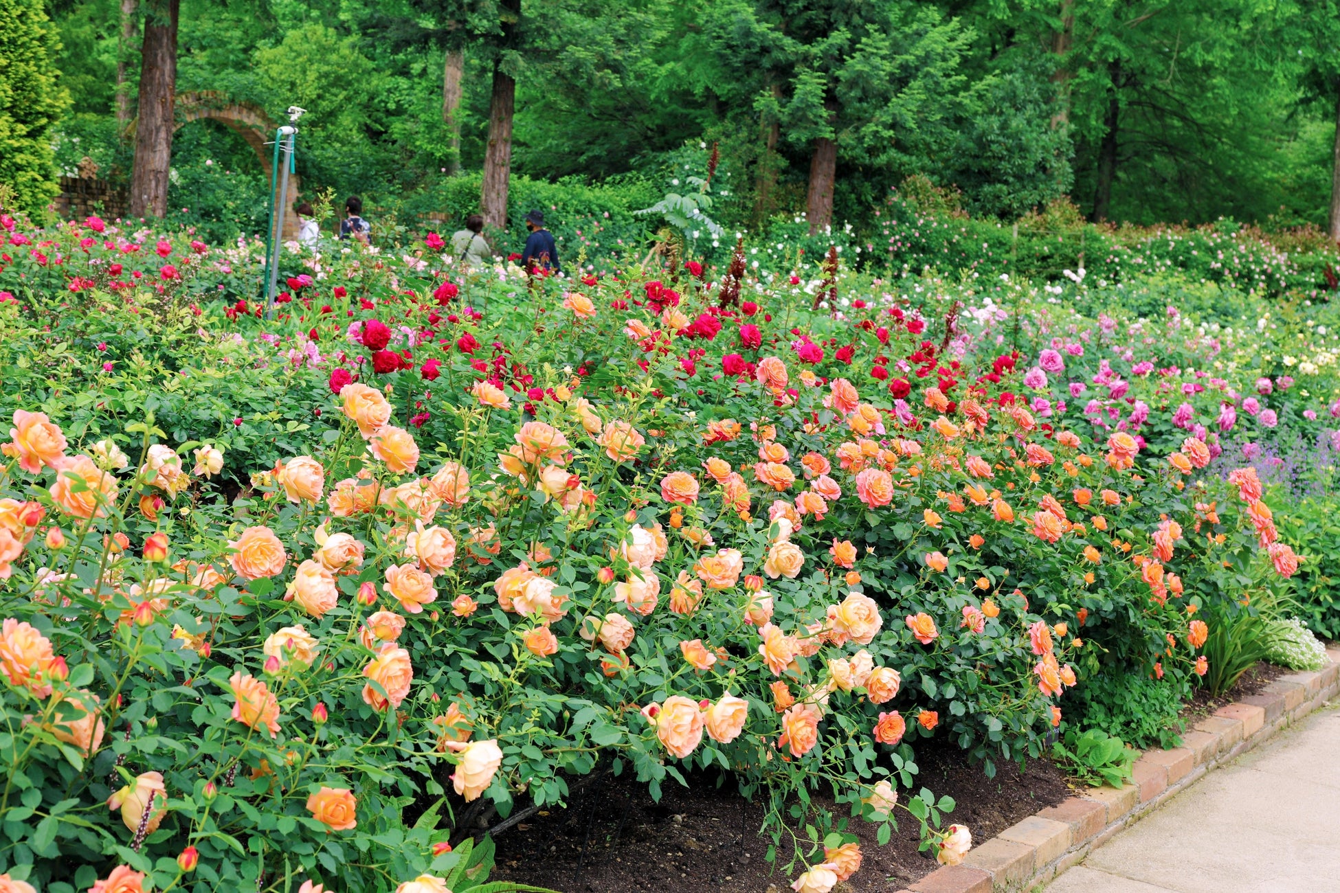 旅行アプリ『NEWT(ニュート)』、トラベルコンシェルジュと旅行の相談ができる「NEWTラウンジ 渋谷」をオープン!