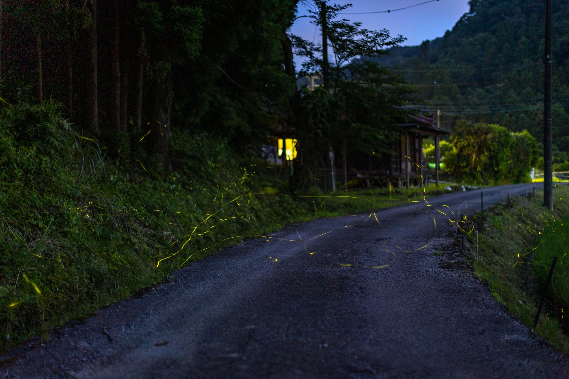 【彫刻家としてのキース・ヘリングを探る展覧会】「Keith Haring: Arching Lines 人をつなぐアーチ」展が6月7日より開幕