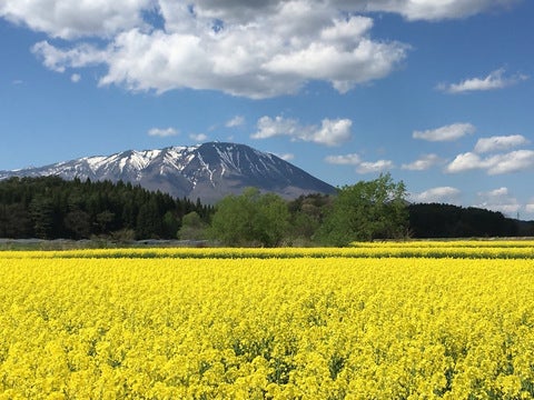 菜の花・紫陽花がベストシーズン　雫石フラワーロードを周遊【雫石プリンスホテルで温泉ゆったり旅♪】