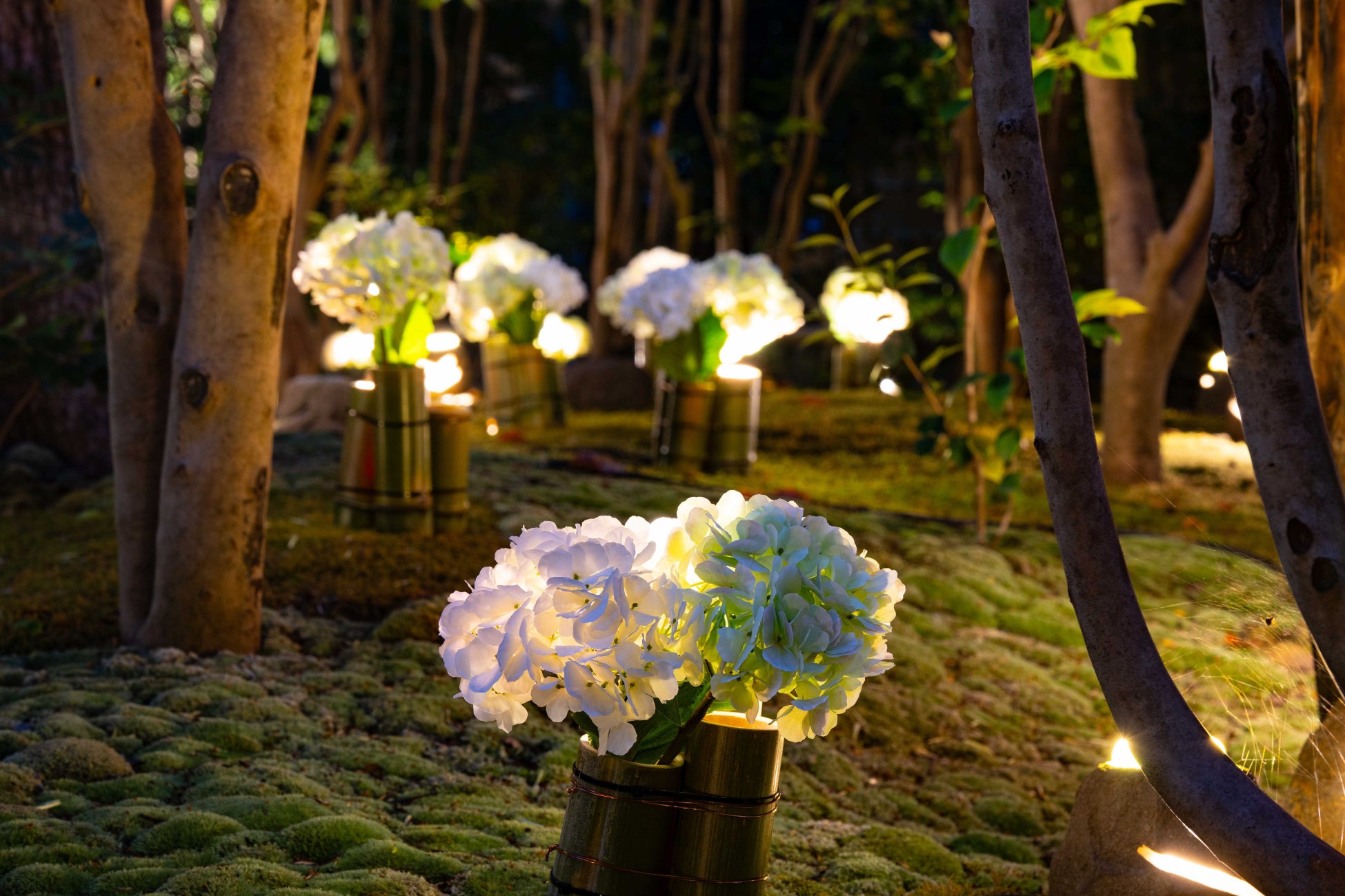 スーパー耐久第3戦「NAPAC富士24時間レース」「FUJI24Hオーバーナイトフェス」イベント情報第2弾発表!