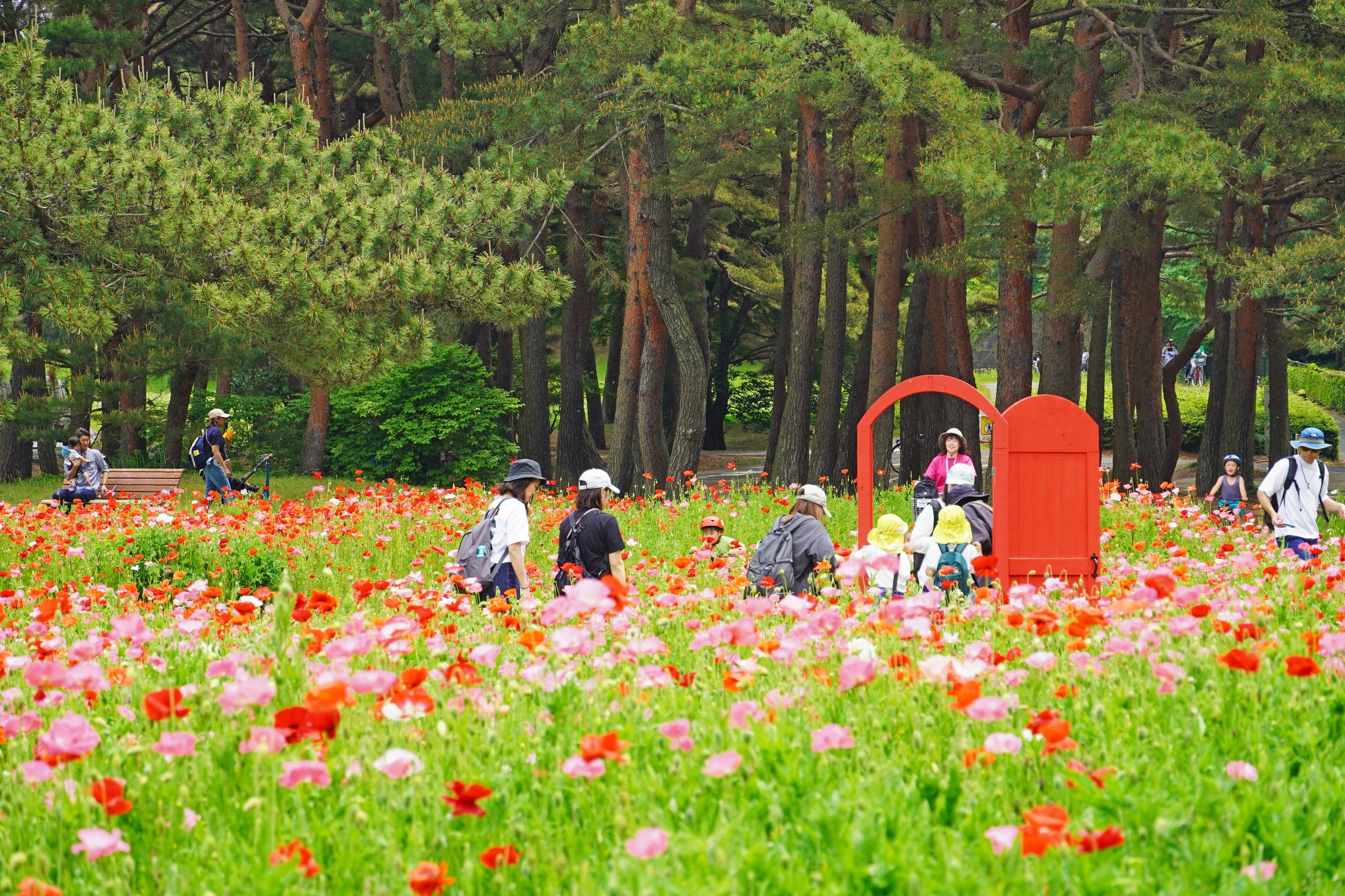 日本フレスコボール協会(JFBA)、6月21日(土)-22日(日)に福岡県福津市・福間海岸で初開催となる『フレスコボールフクマカップ2025』特設ページの公開を発表。