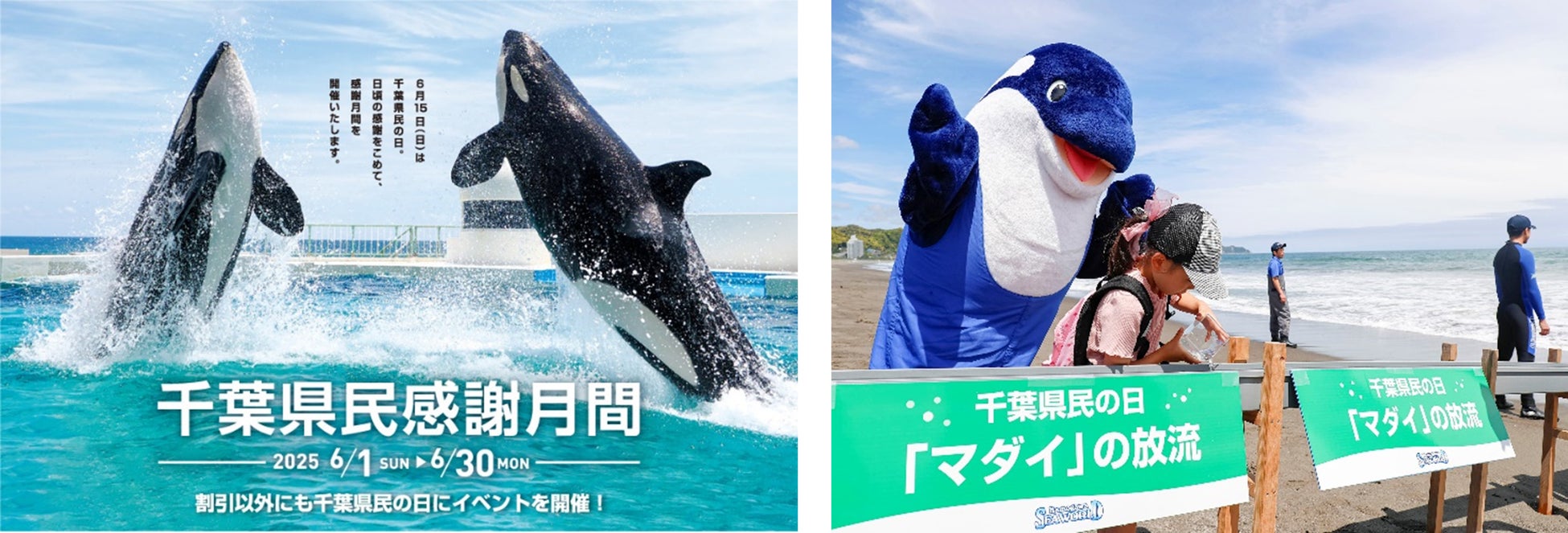 【鴨川シーワールド】鴨川シーワールド「千葉県民感謝月間」開催　当館の55周年を記念し、本日より千葉県民限定で参加者の半数55名を公式HPで事前募集！