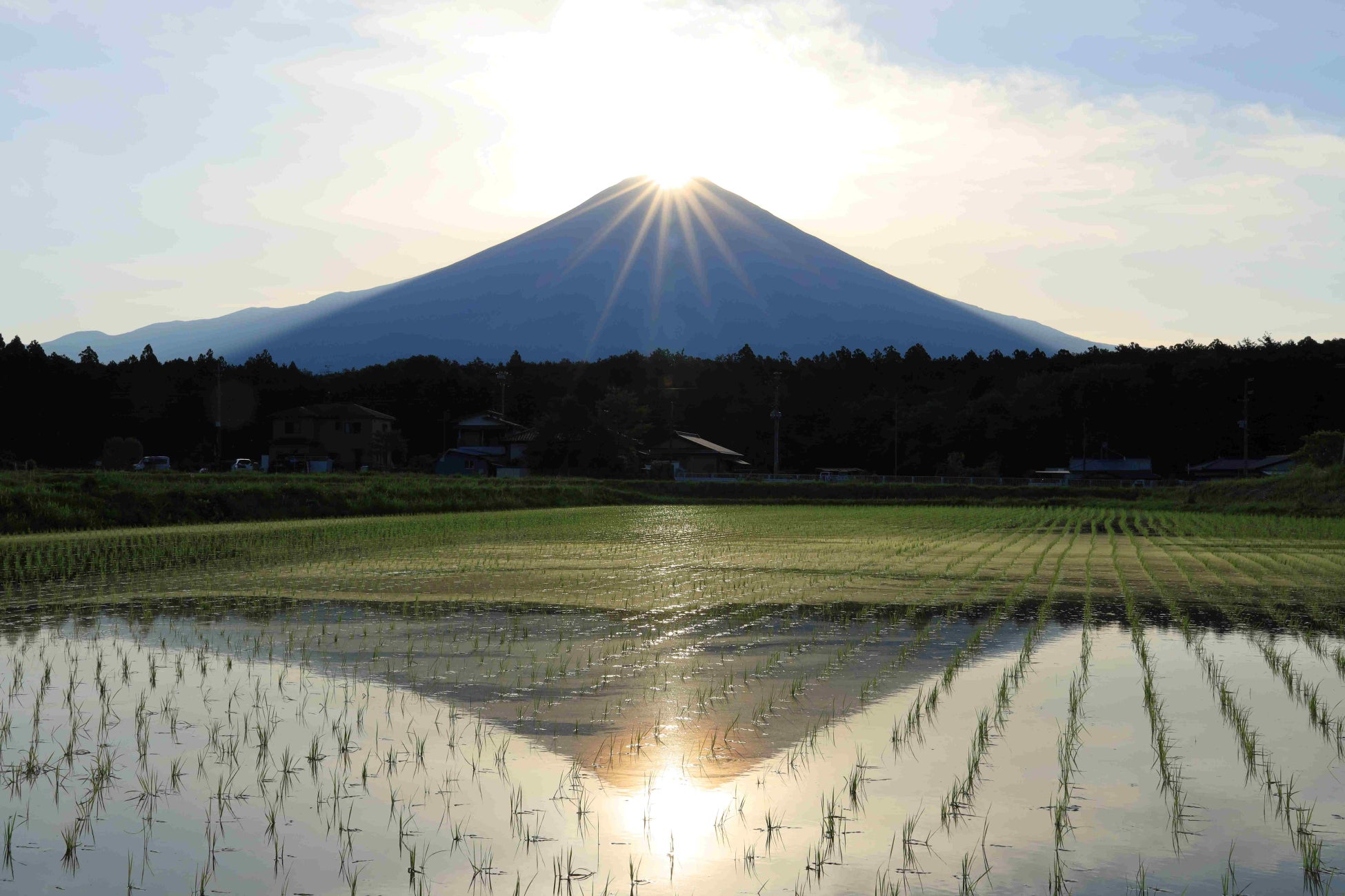 水田に映る「ダブルダイヤモンド富士」一年に一度、現れるチャンス（静岡県富士宮市内野地区）