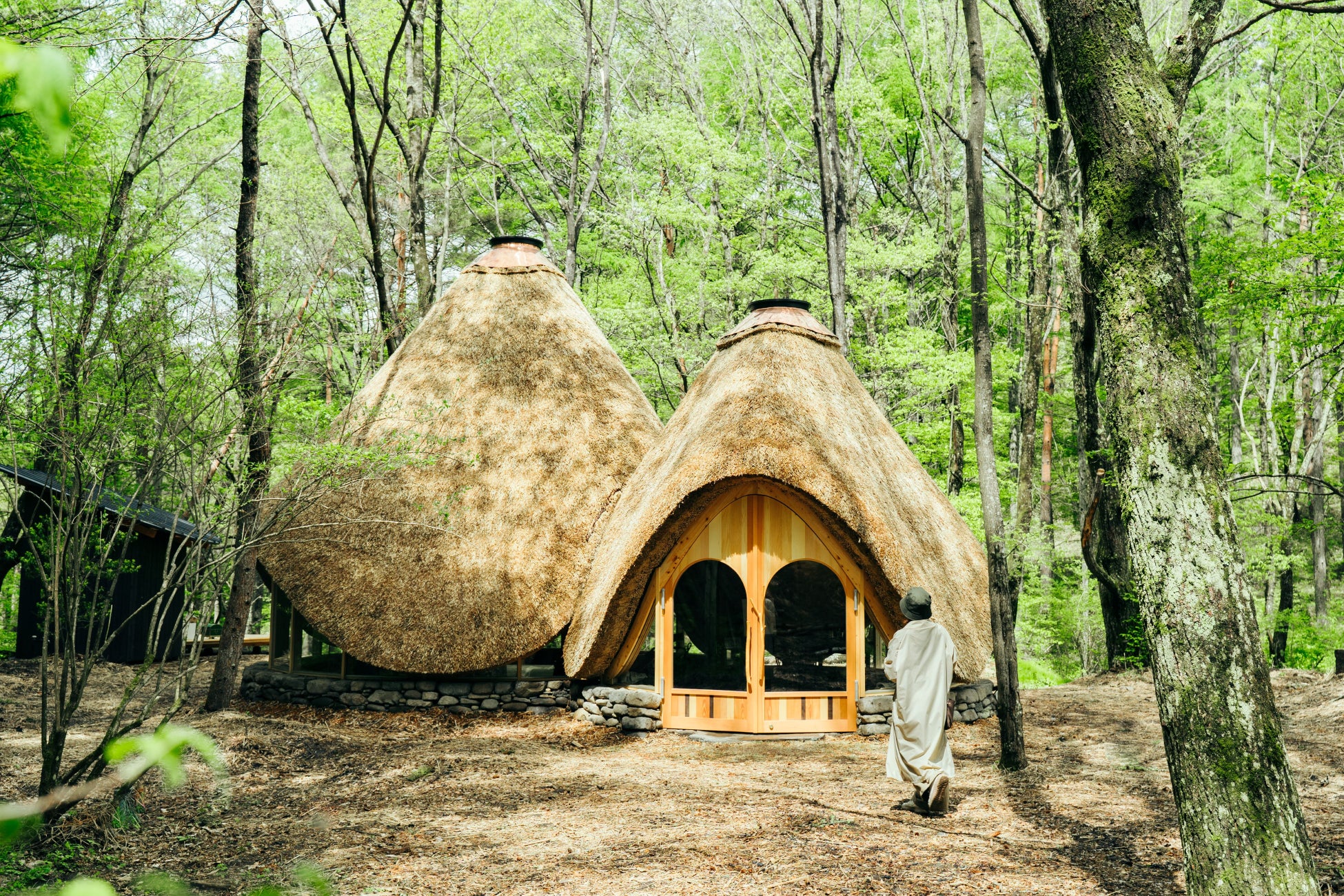 【星のや沖縄】パイナップルやパッションフルーツ、マンゴーなど、夏のフルーツの恵みをテーマに美に導く「琉球ガストロノミア~Bellezza~」夏メニューを提供